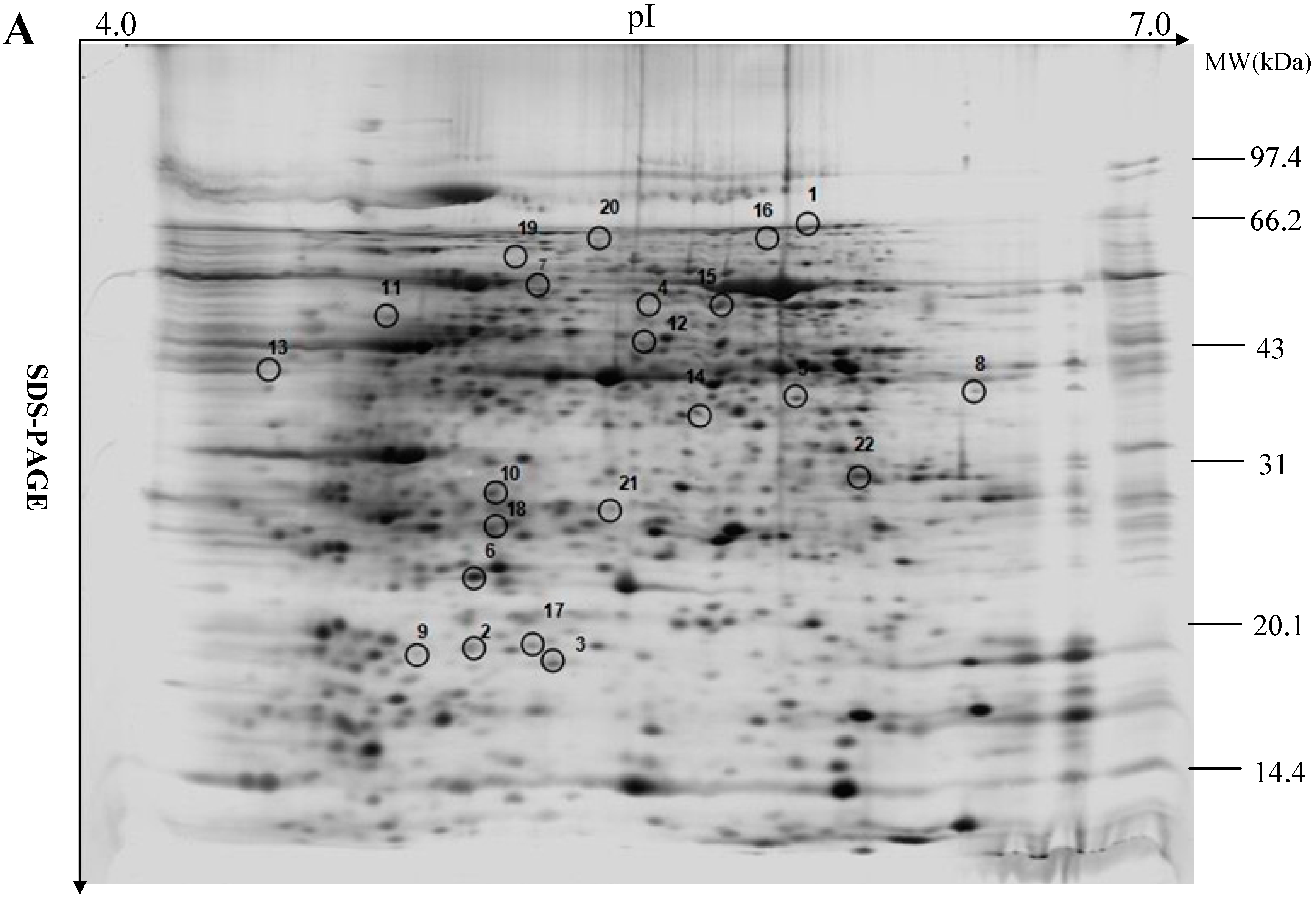 Ijms 16 21606 g004a 1024