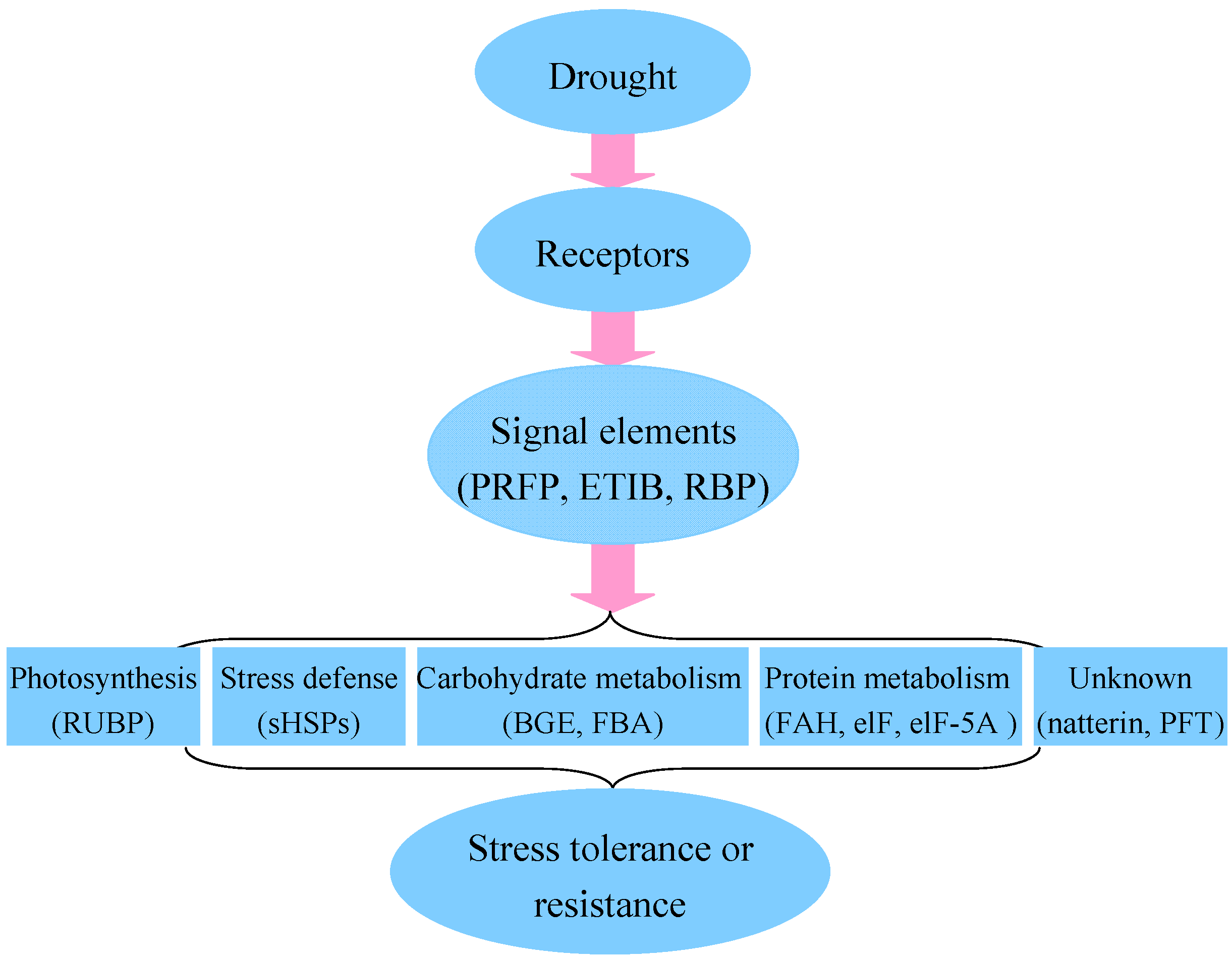 Ijms 16 21606 g006 1024