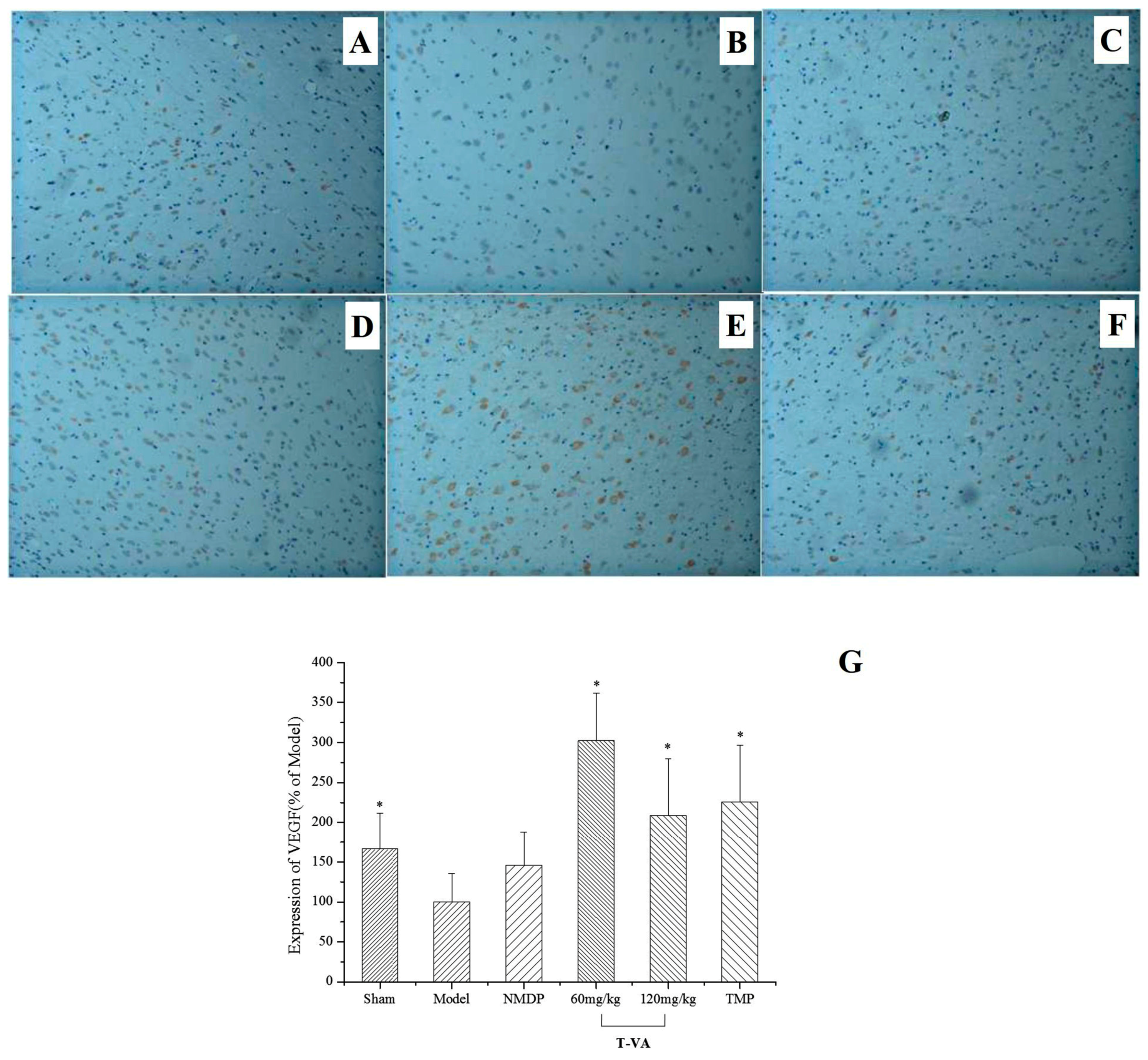 Ijms 16 21759 g006 1024