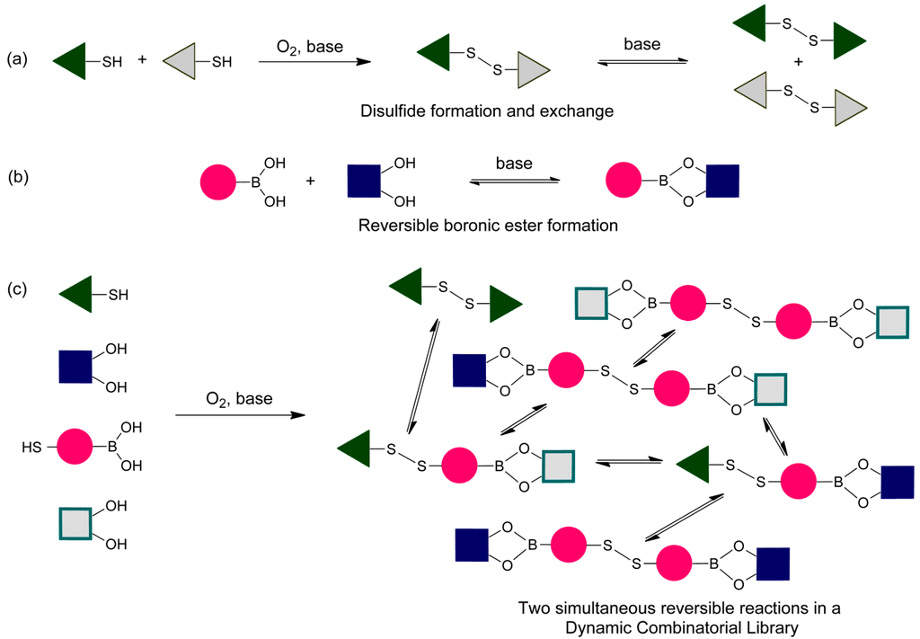 Covalent and heterosupramolecular interaction of ceramic particles