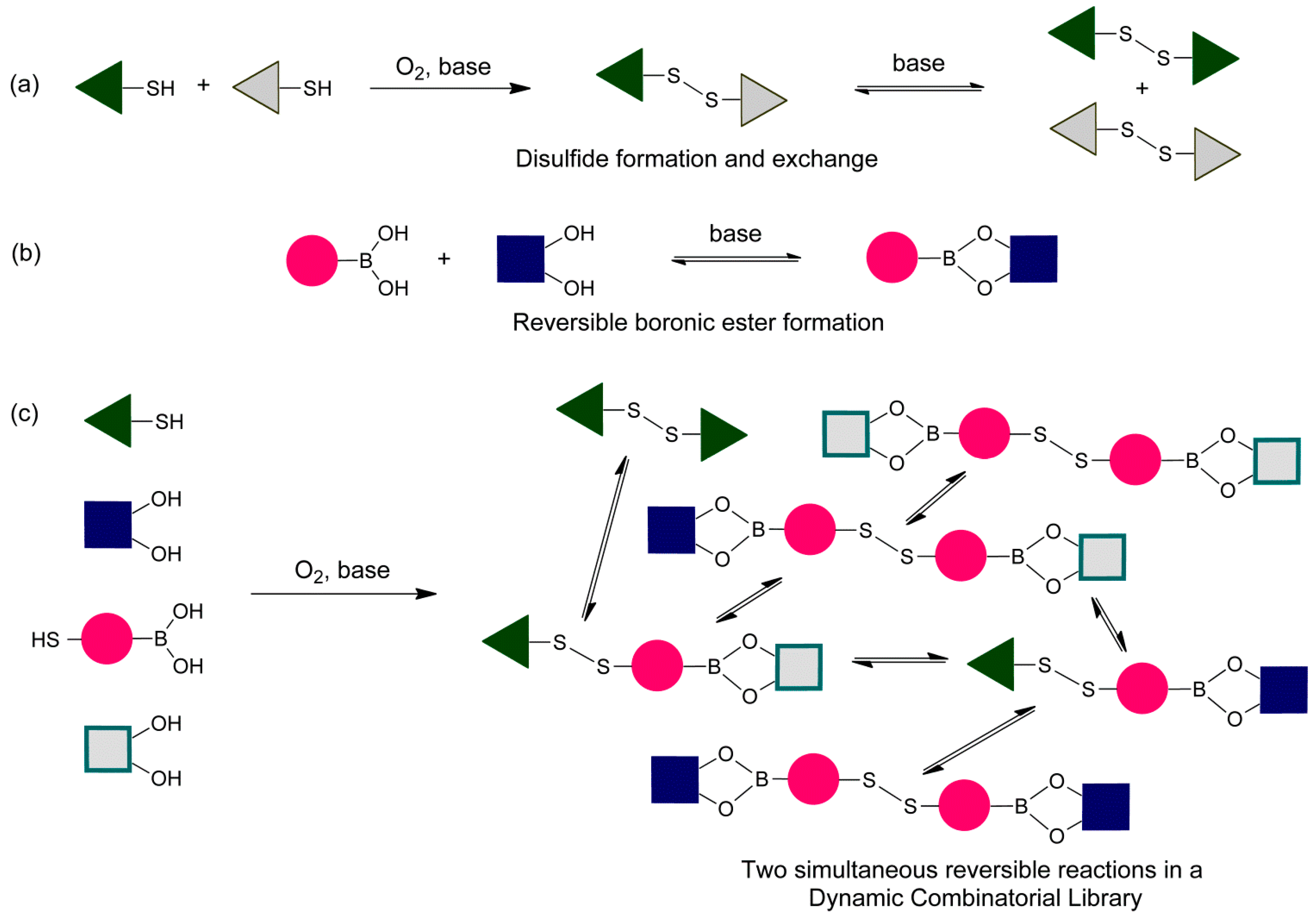 Ijms 16 21858 g001 1024
