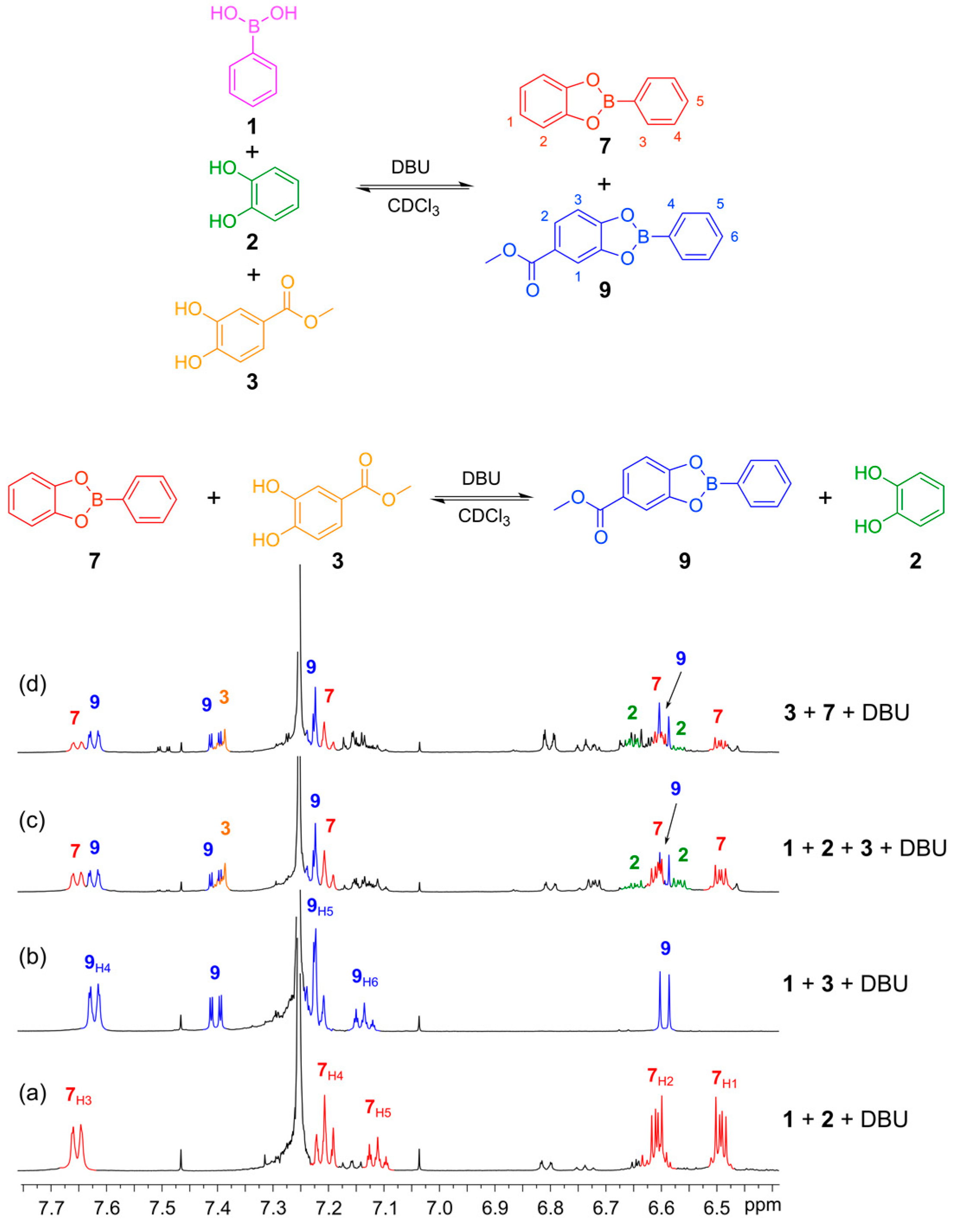Ijms 16 21858 g006 1024