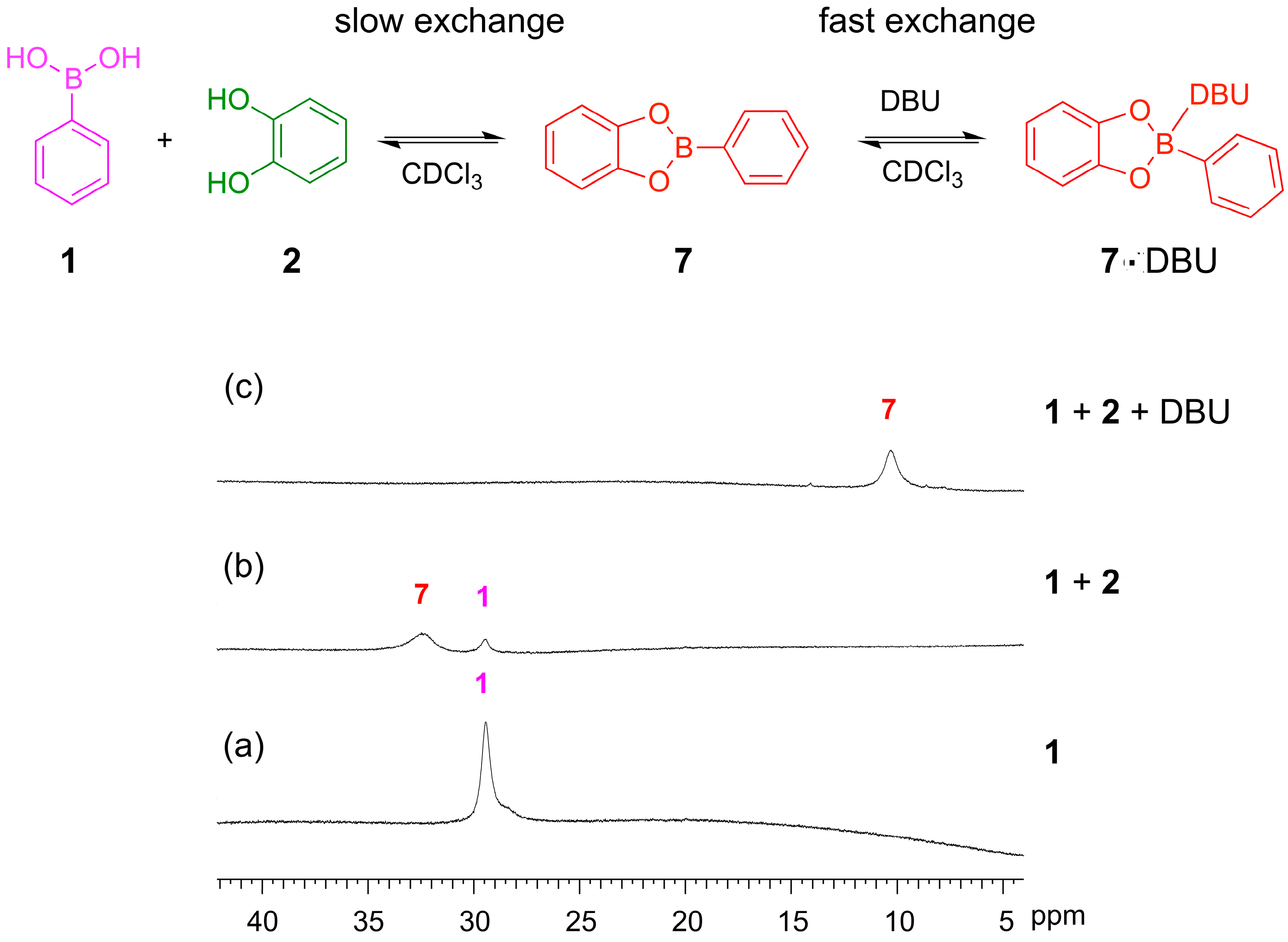 Ijms 16 21858 g007 1024