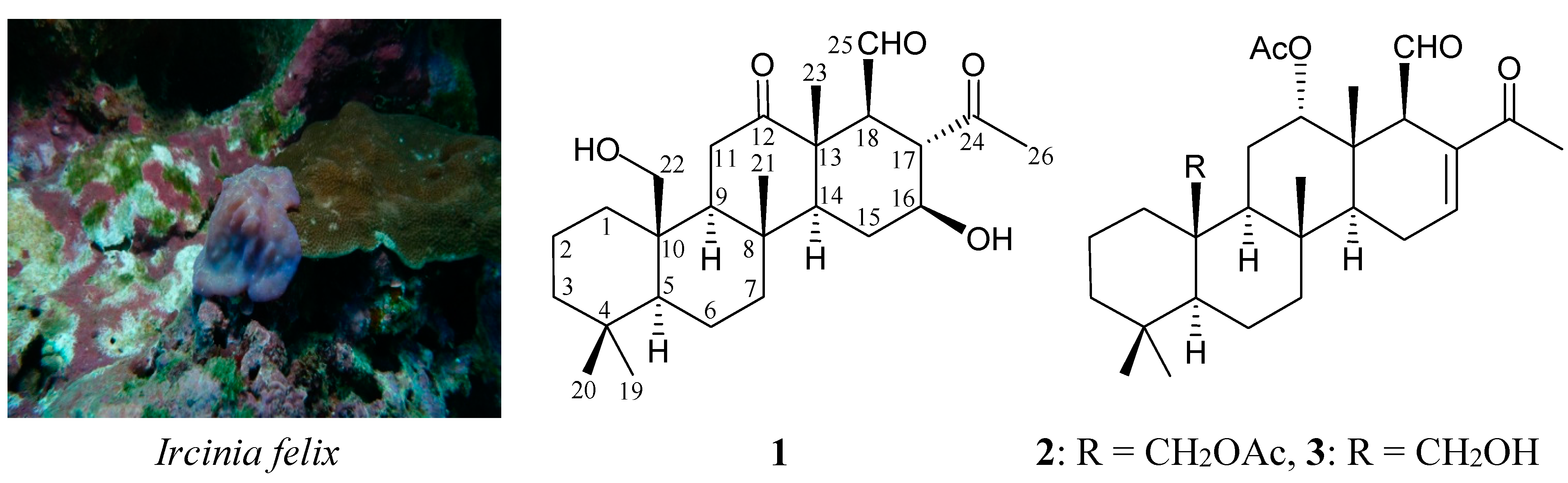 Ijms 16 21950 g001 1024