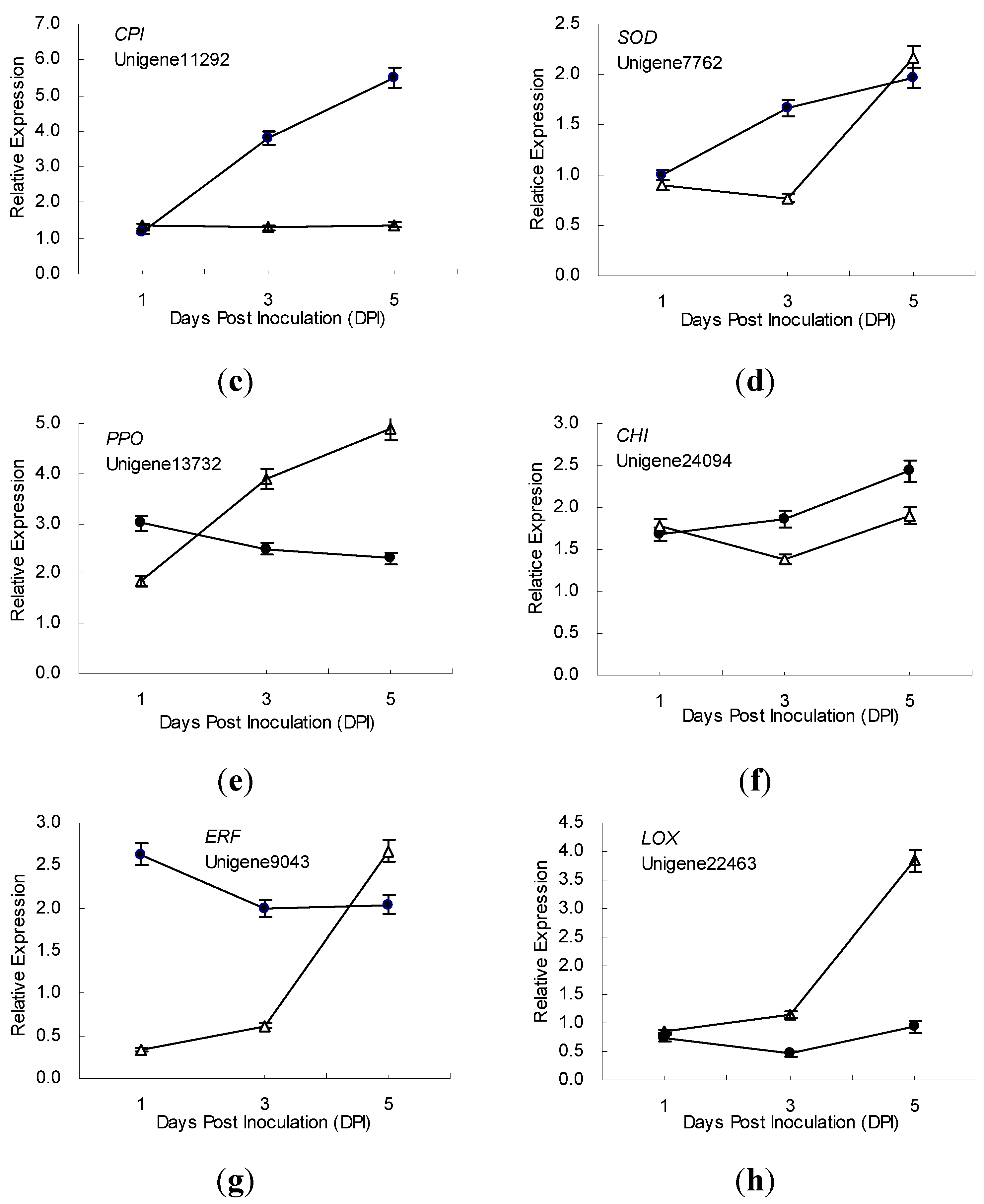 Identification of Ramie Genes in Response to Pratylenchus