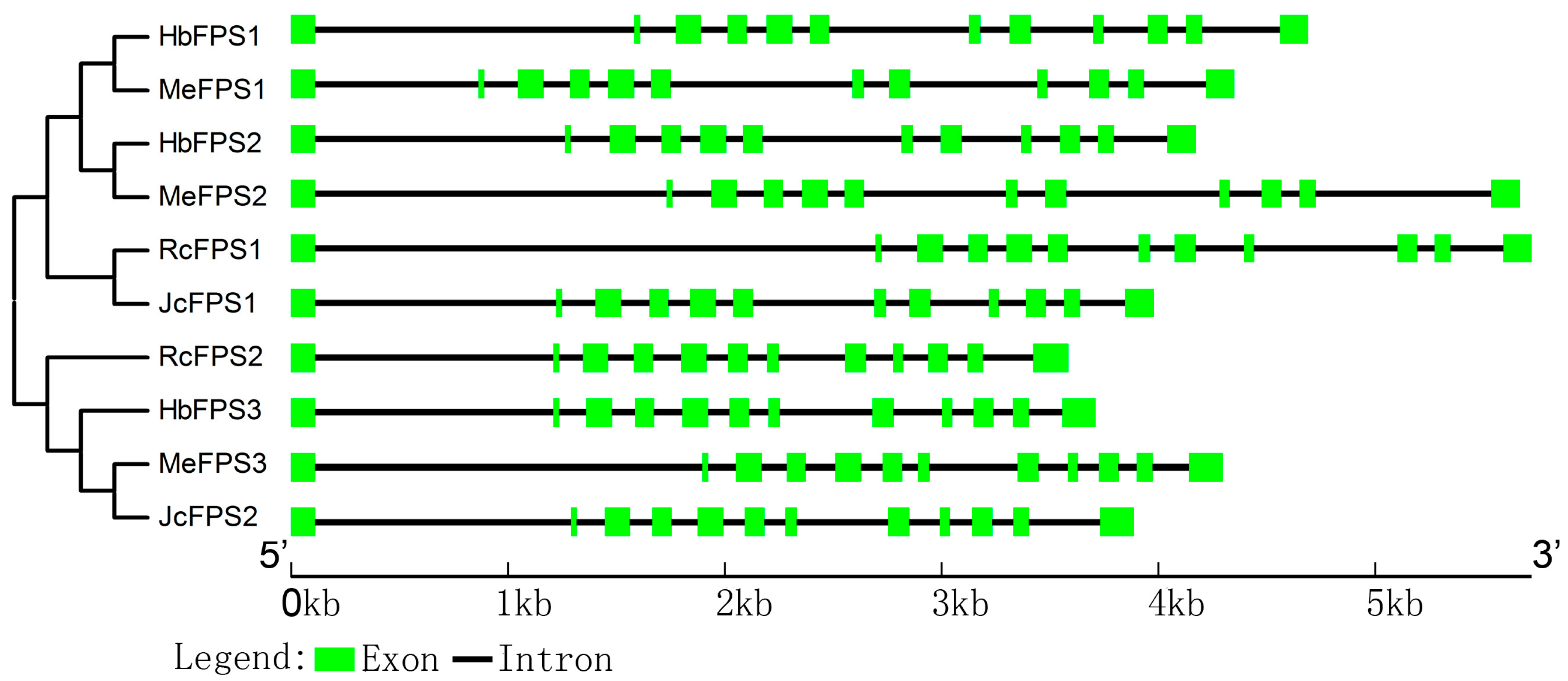 Ijms 16 22402 g003