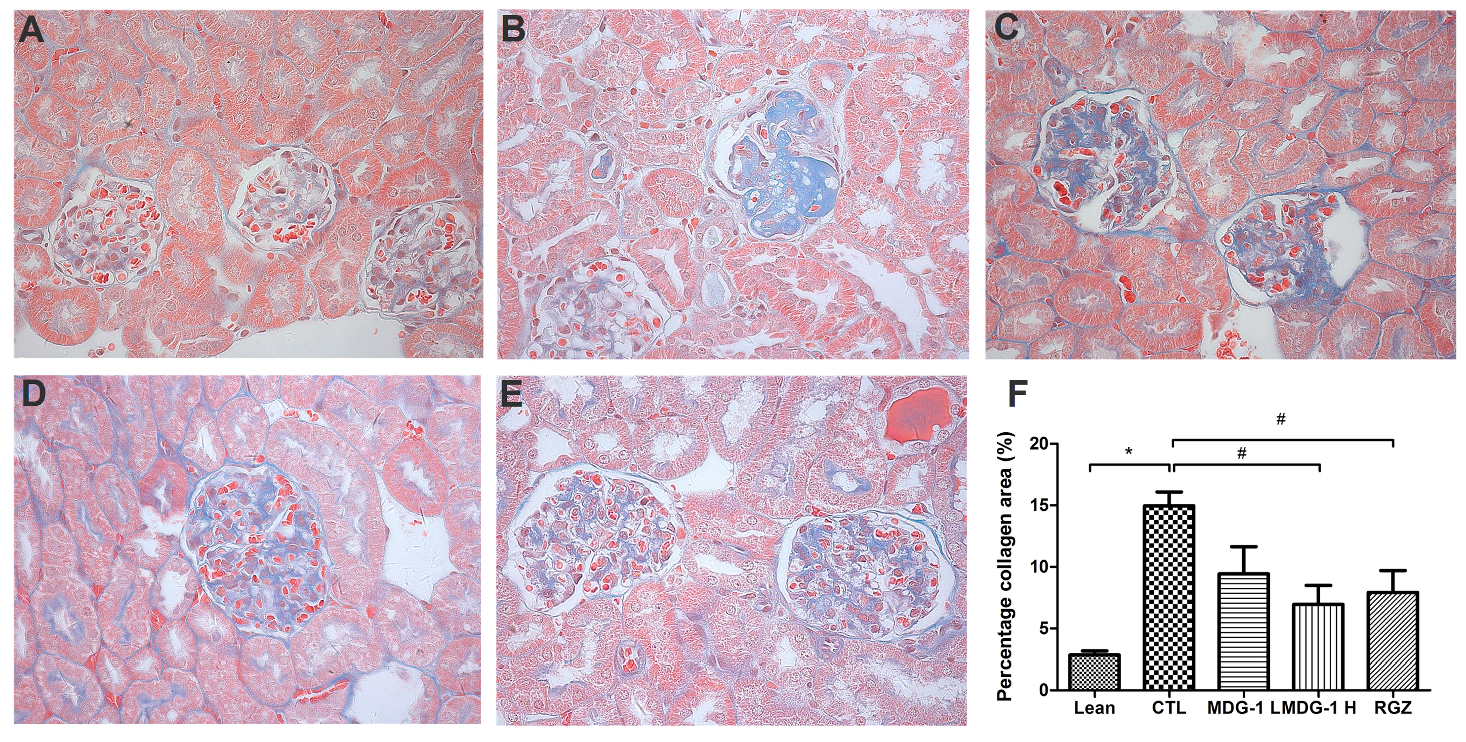 Ijms 16 22473 g004 1024