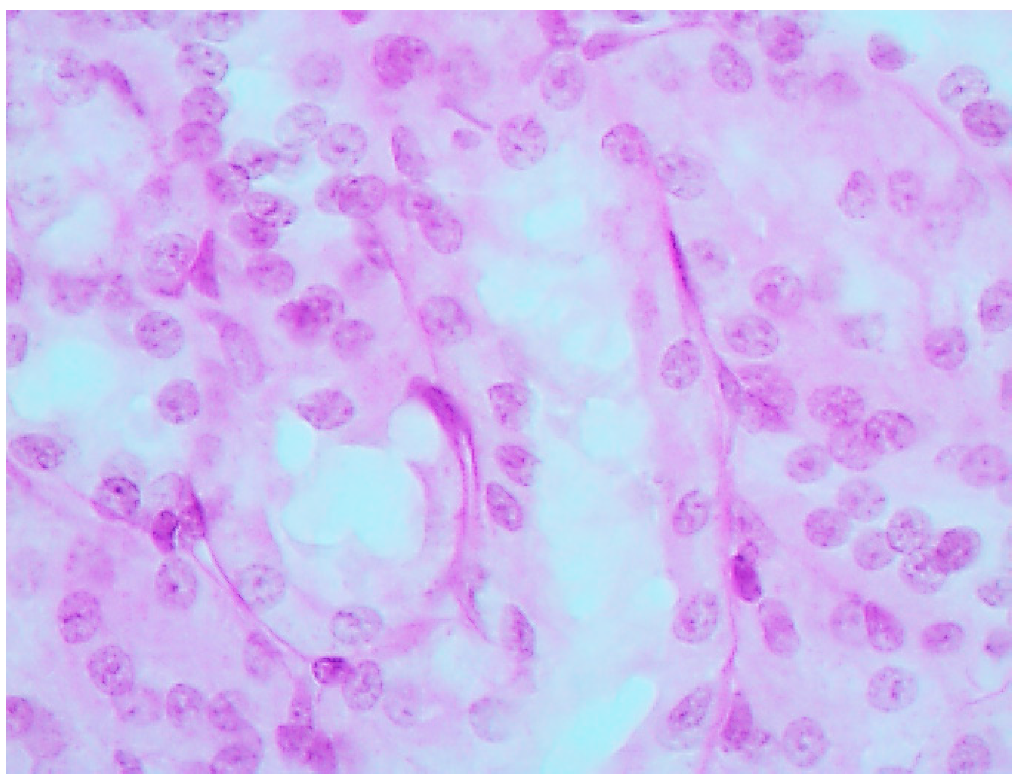 Ijms 16 22555 g003 1024