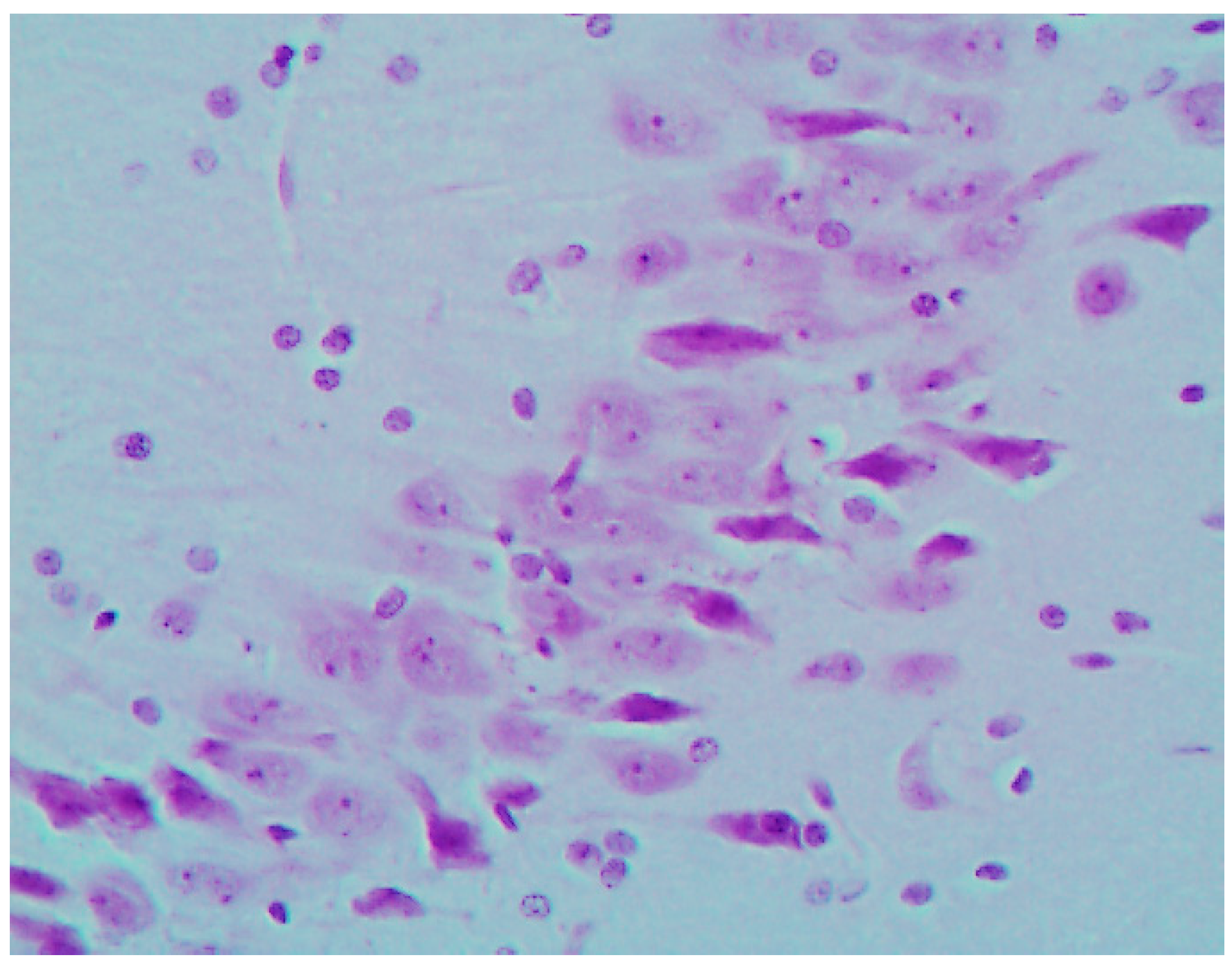 Ijms 16 22555 g006 1024