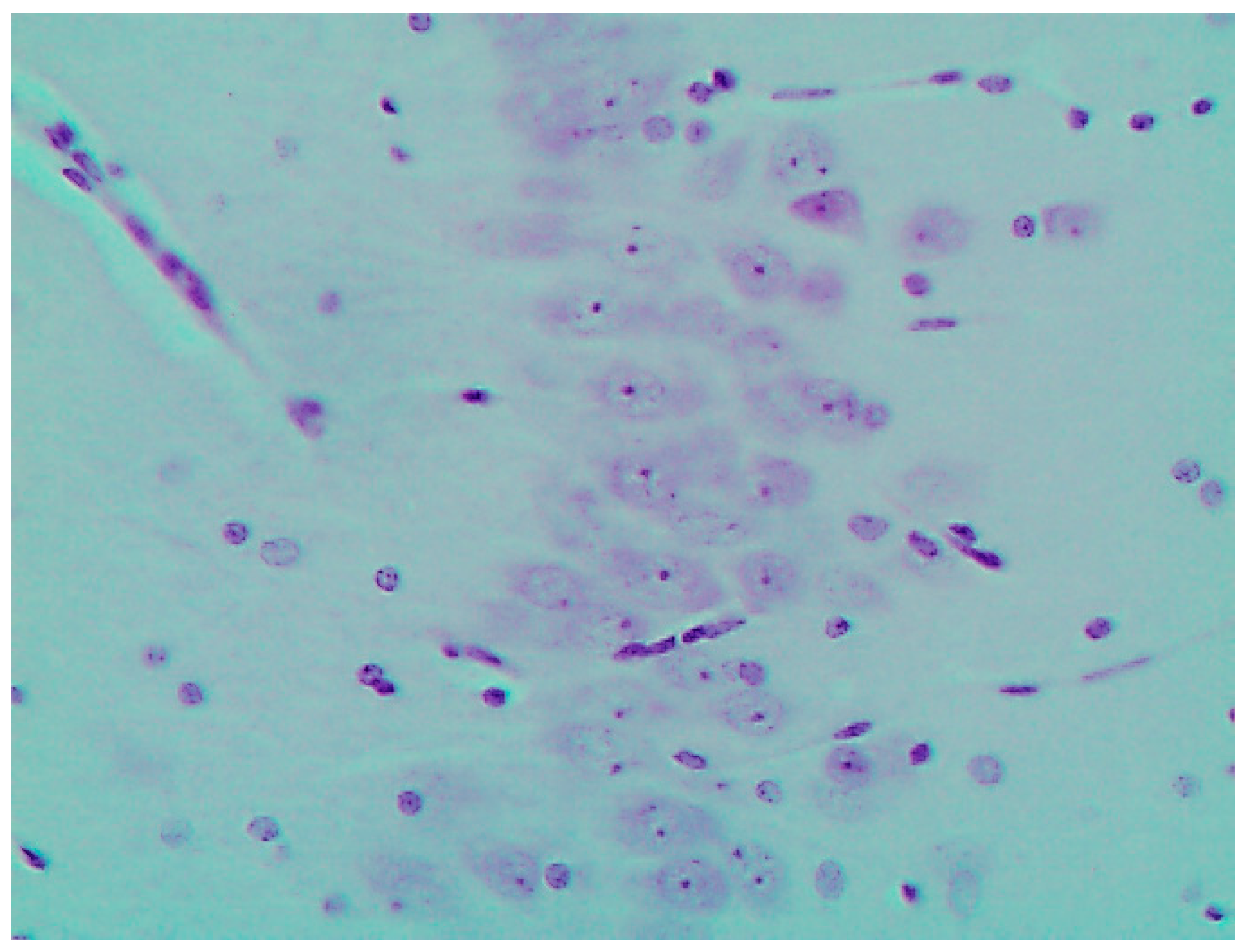 Ijms 16 22555 g007 1024