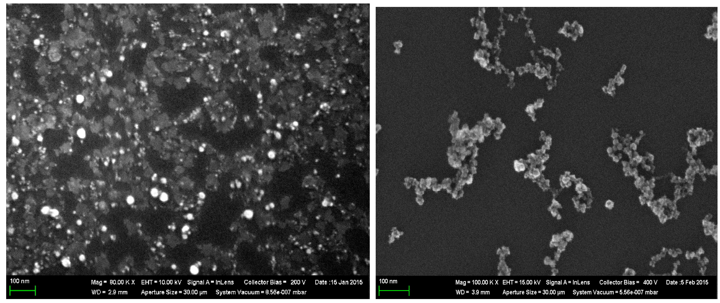 Ijms 16 22555 g008 1024