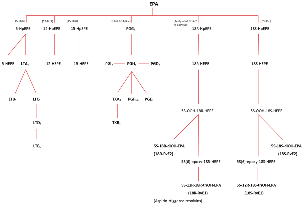 Diseases, Free Full-Text