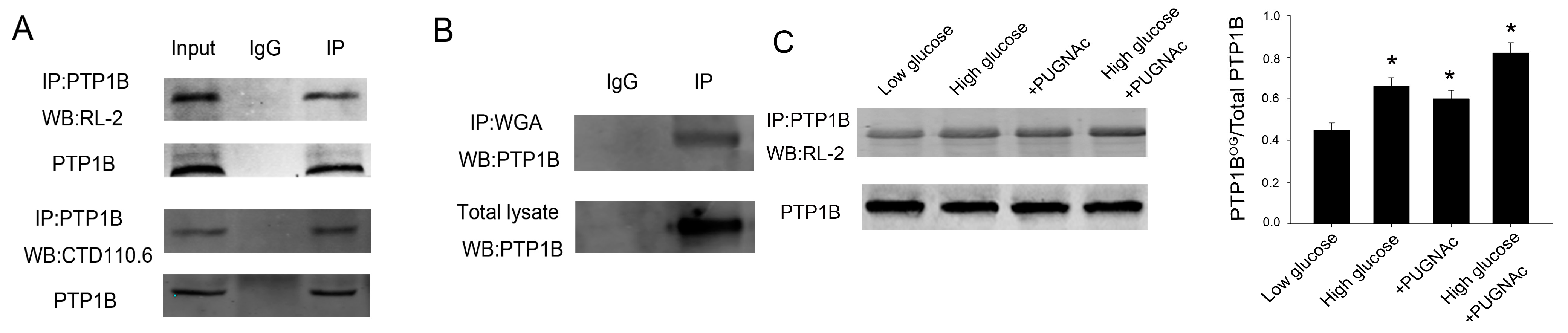 Ijms 16 22856 g001