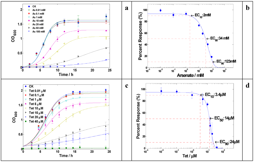 Heavy Metal Induced Antibiotic Resistance in Bacterium LSJC7