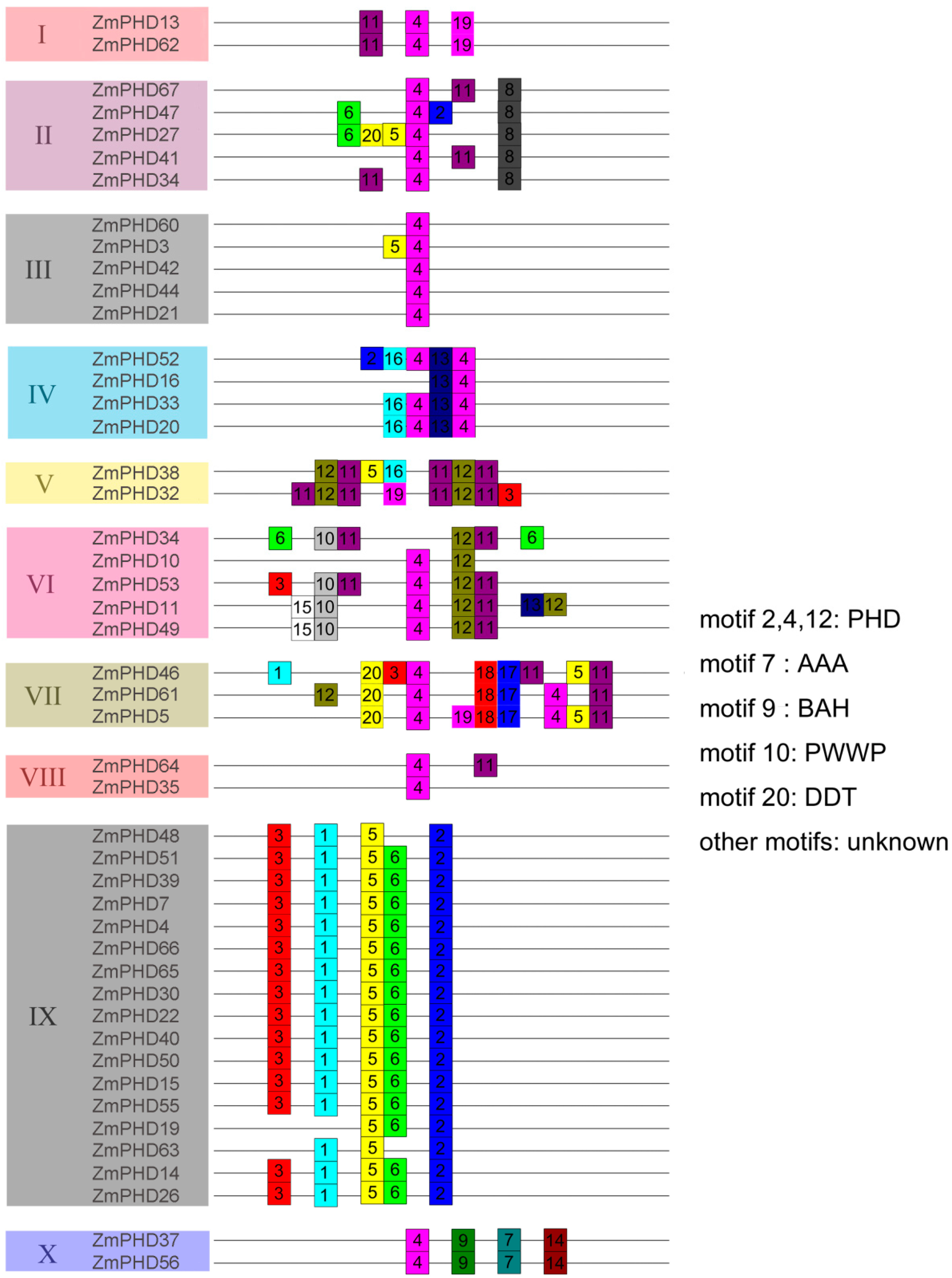 Ijms 16 23517 g003
