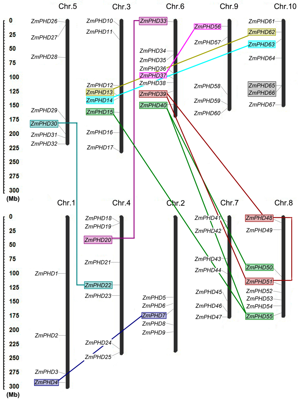 IJMS, Free Full-Text