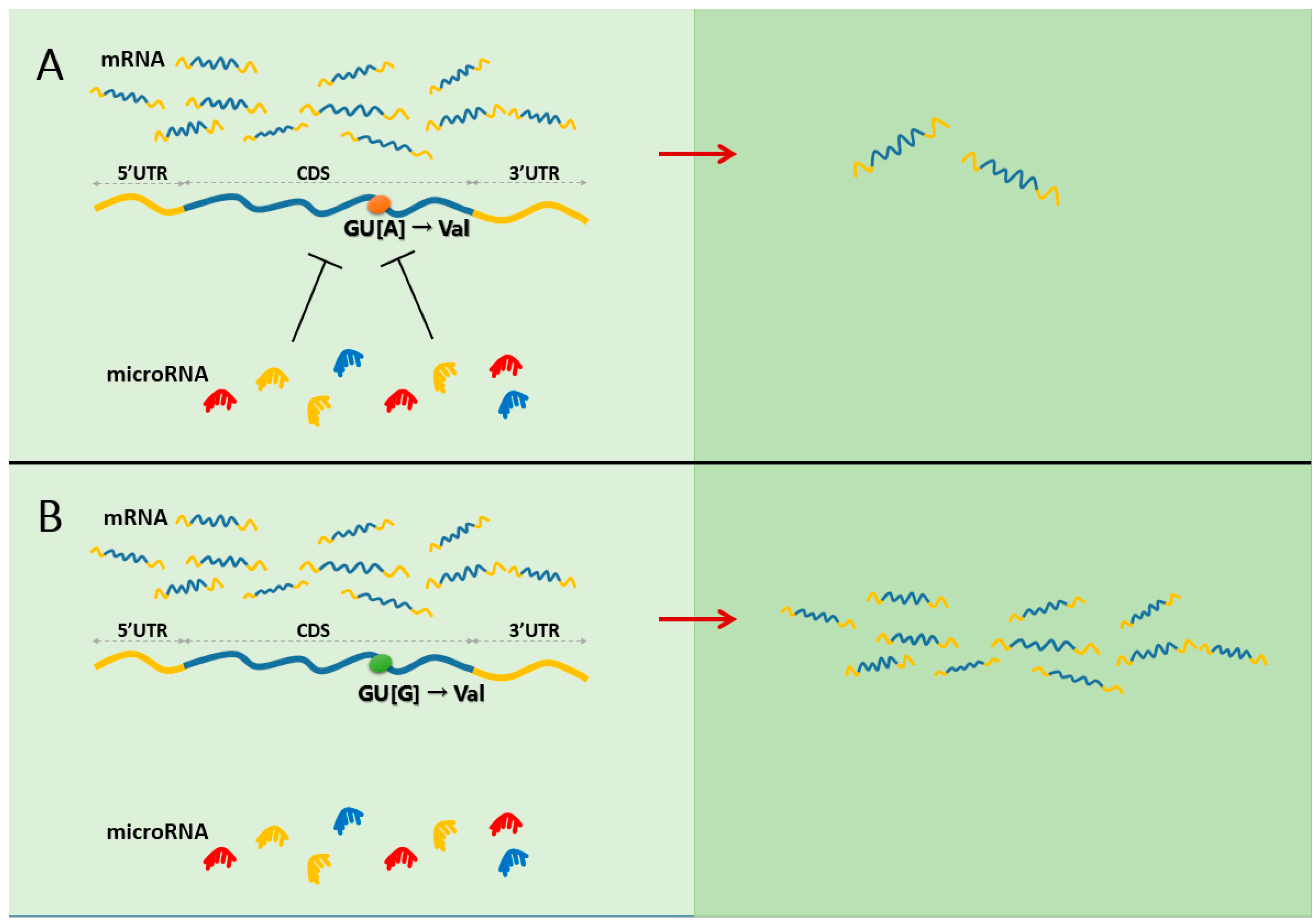 Ijms 16 23545 g001 1024