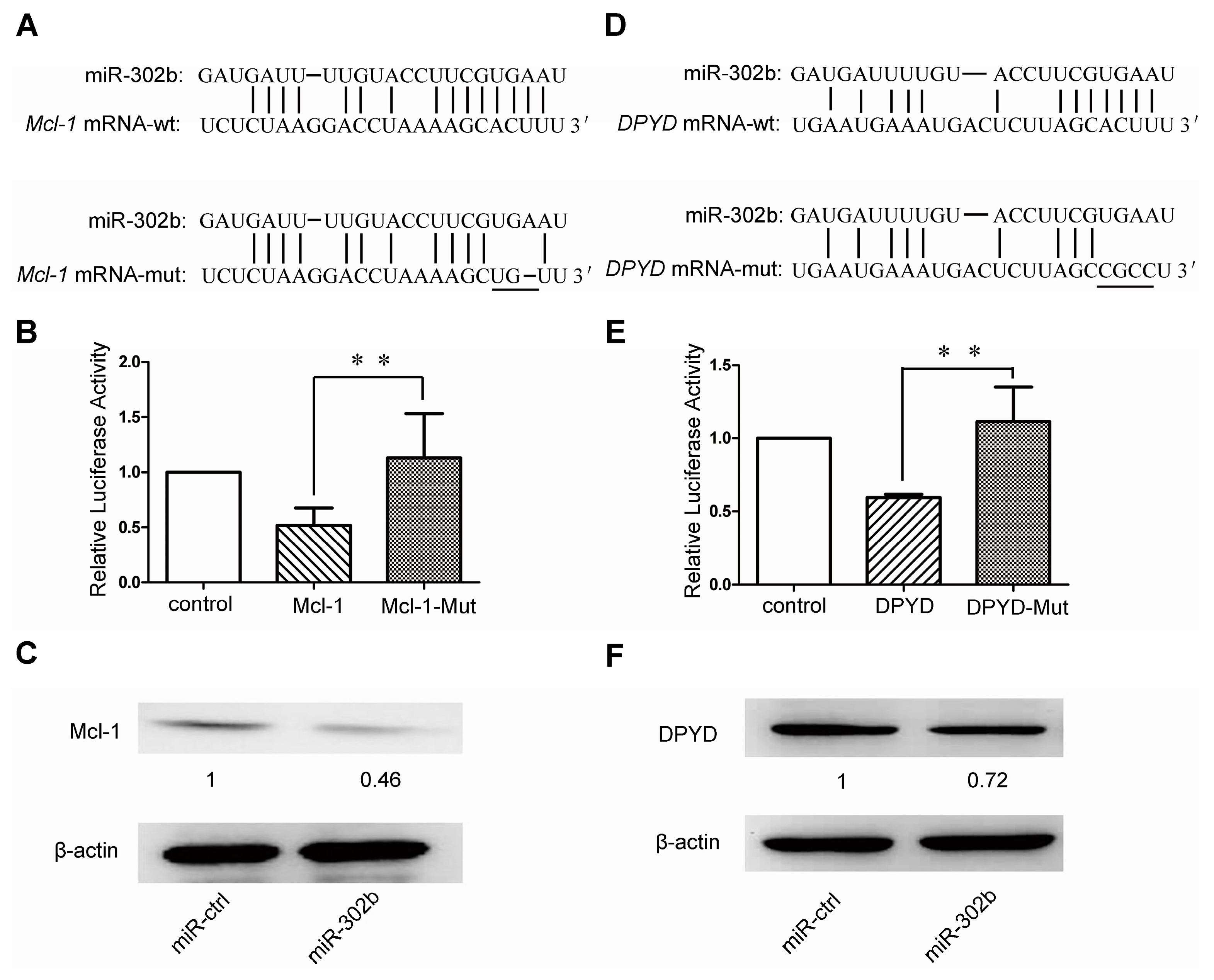 Ijms 16 23668 g003 1024