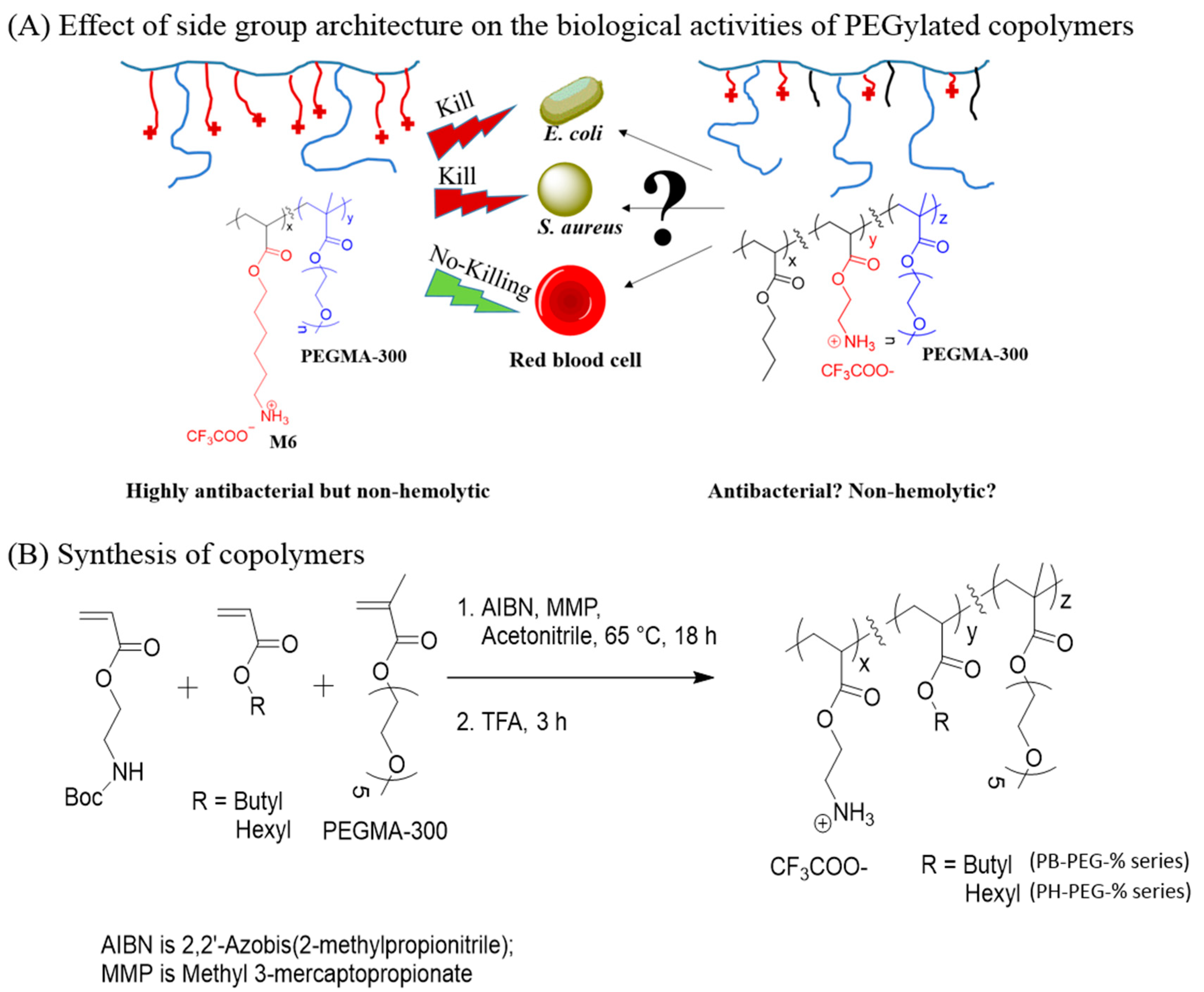 Ijms 16 23867 g001 1024