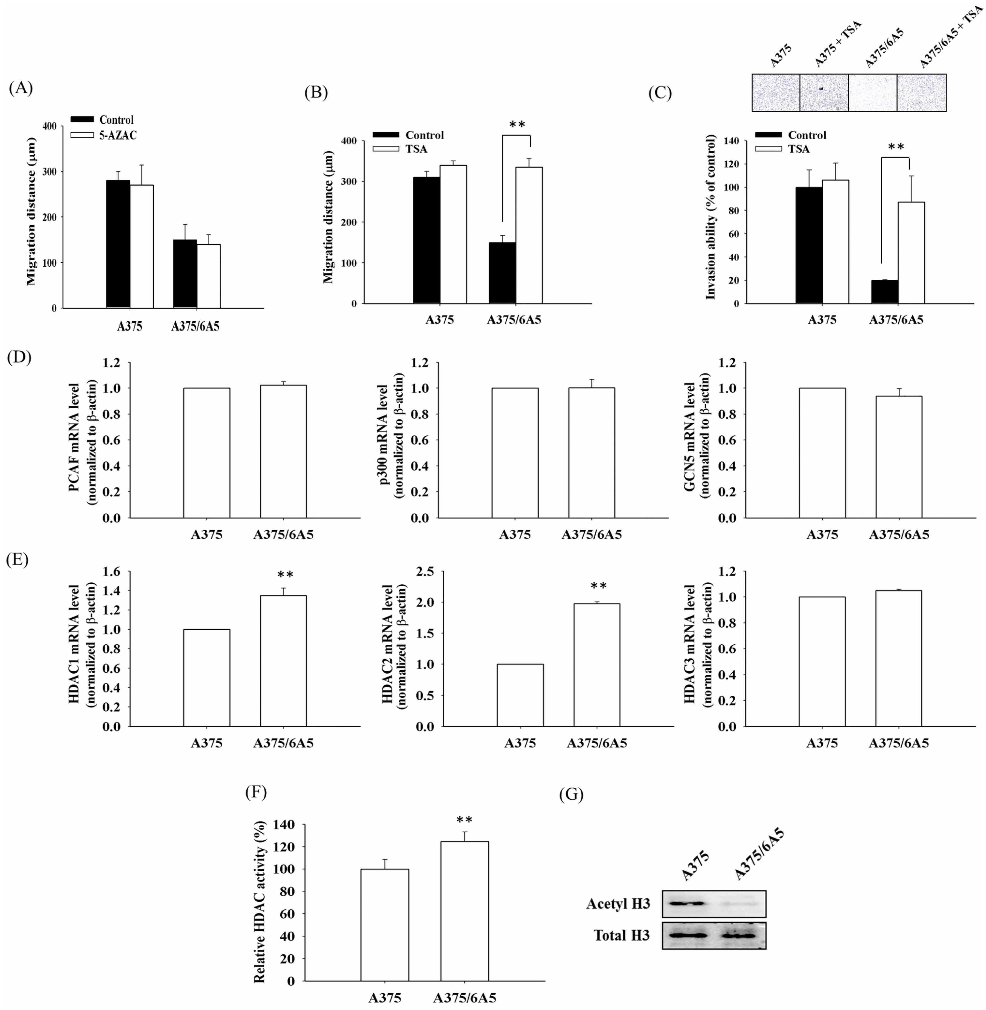 Ijms 16 23994 g001 1024