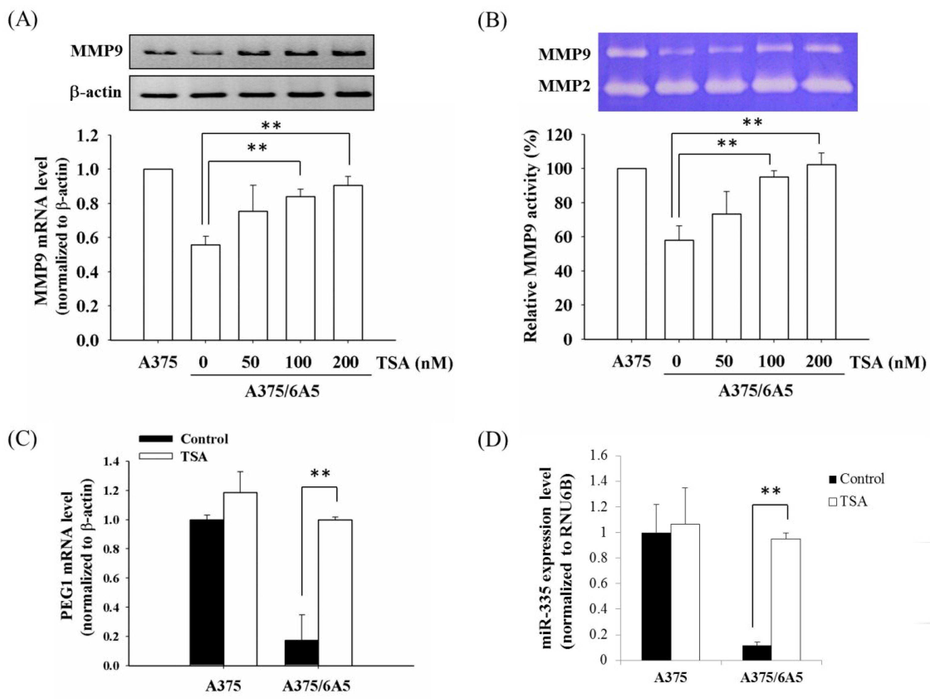 Ijms 16 23994 g002 1024