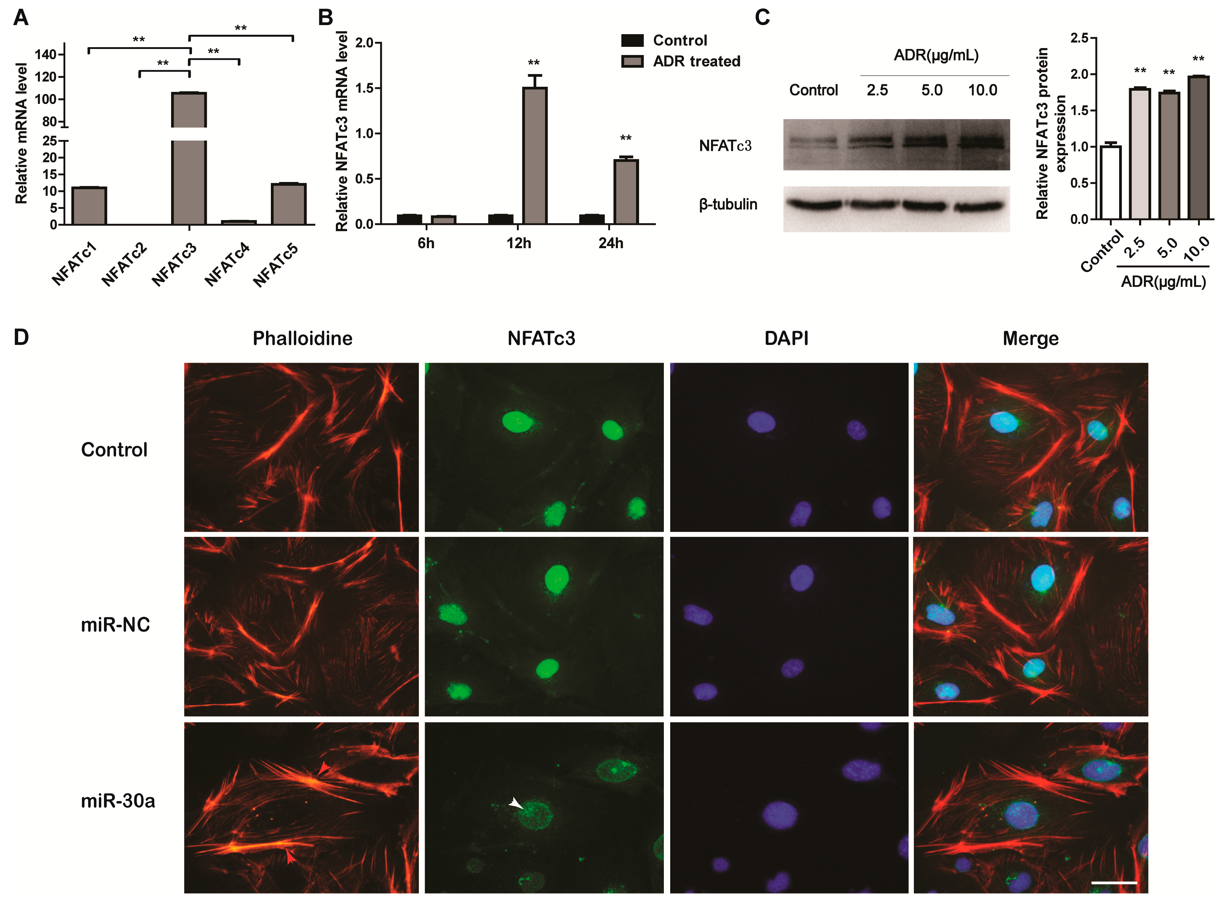 Ijms 16 24032 g004 1024