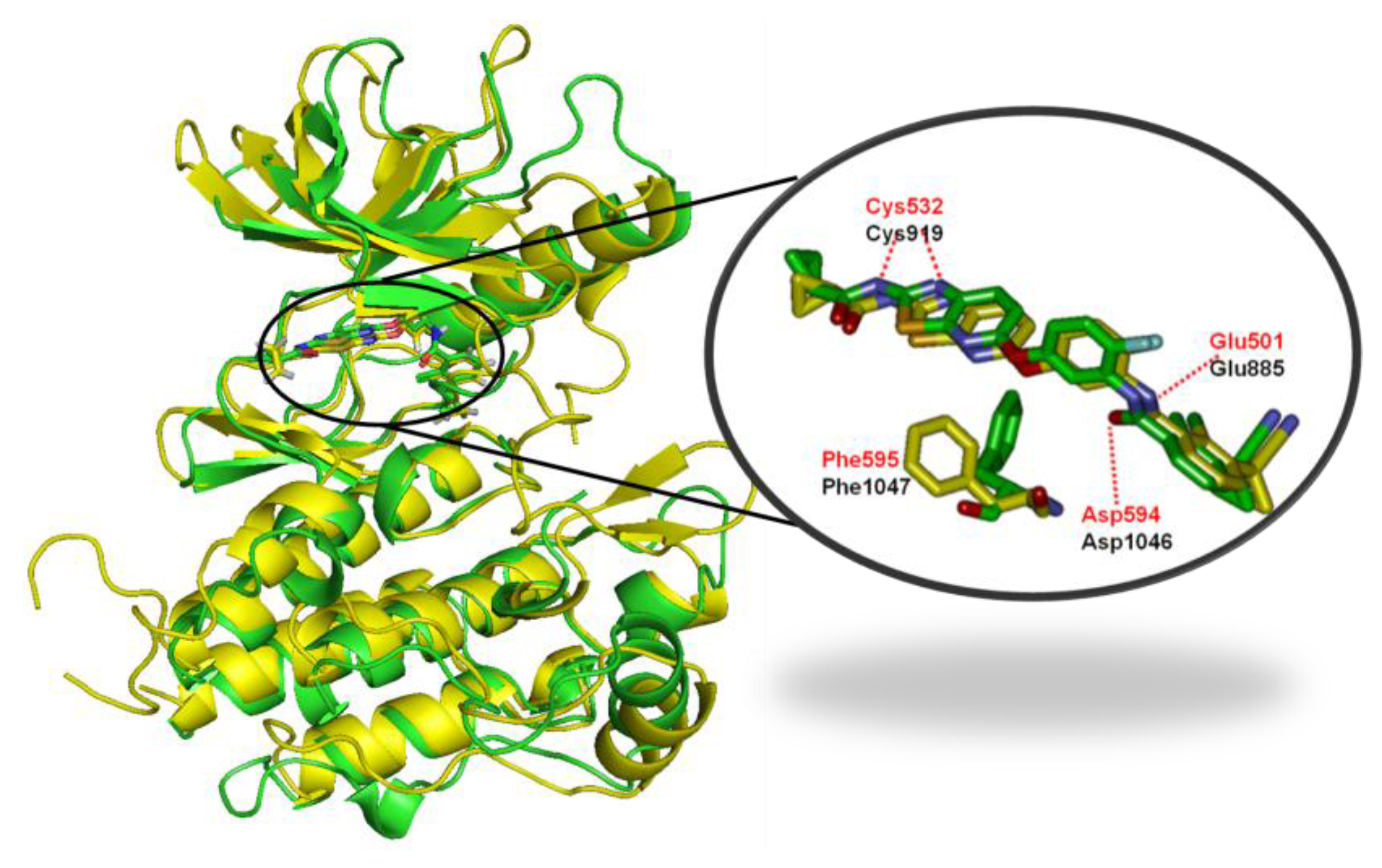 Ijms 16 24451 g009 1024