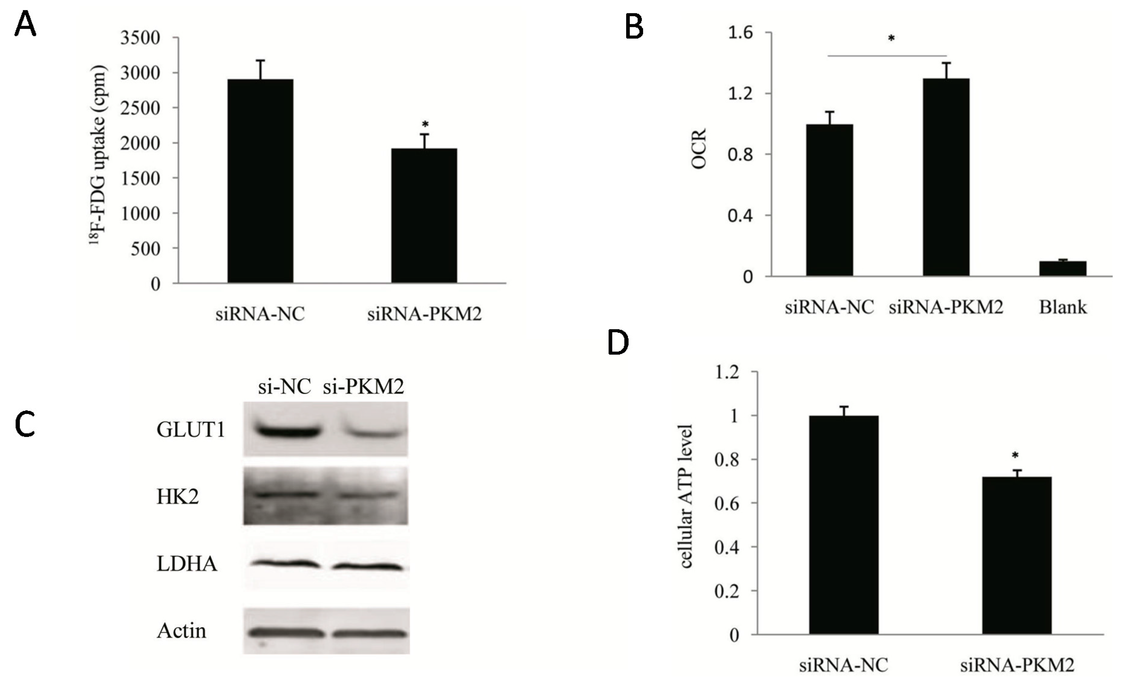 Ijms 16 24574 g004 1024
