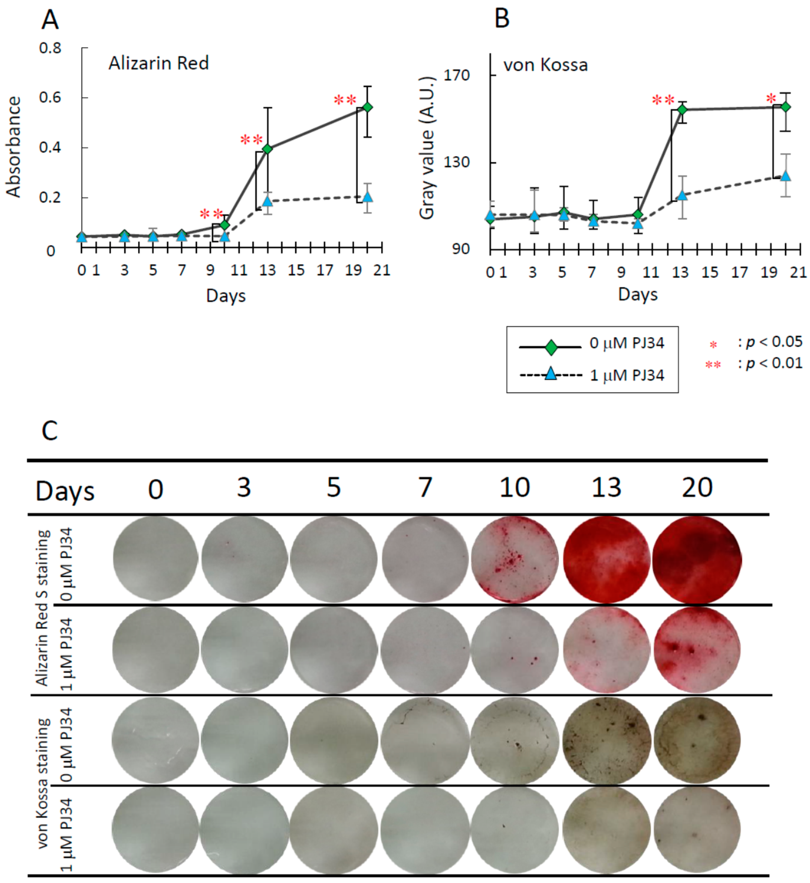 Ijms 16 24820 g004 1024