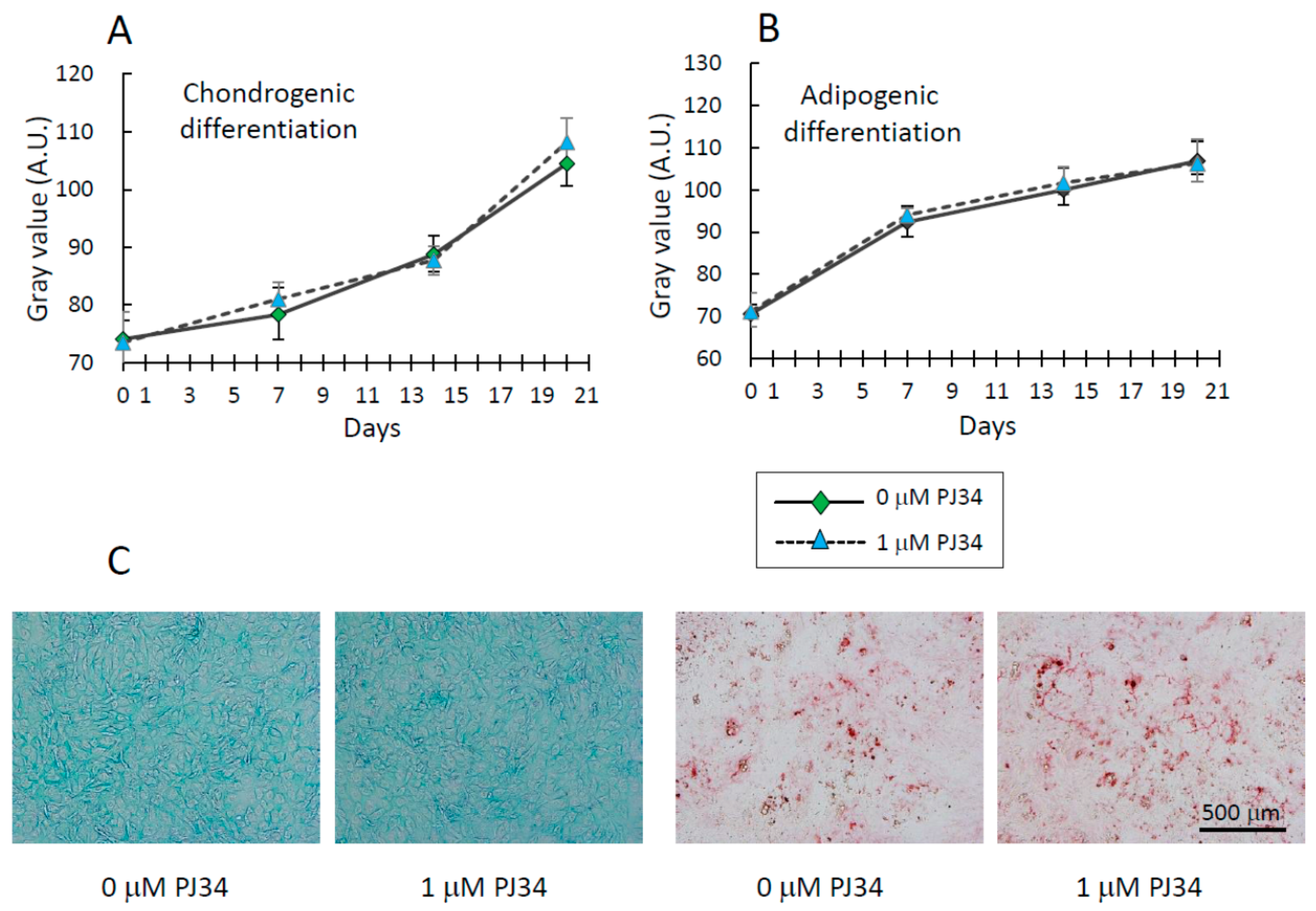 Ijms 16 24820 g006 1024