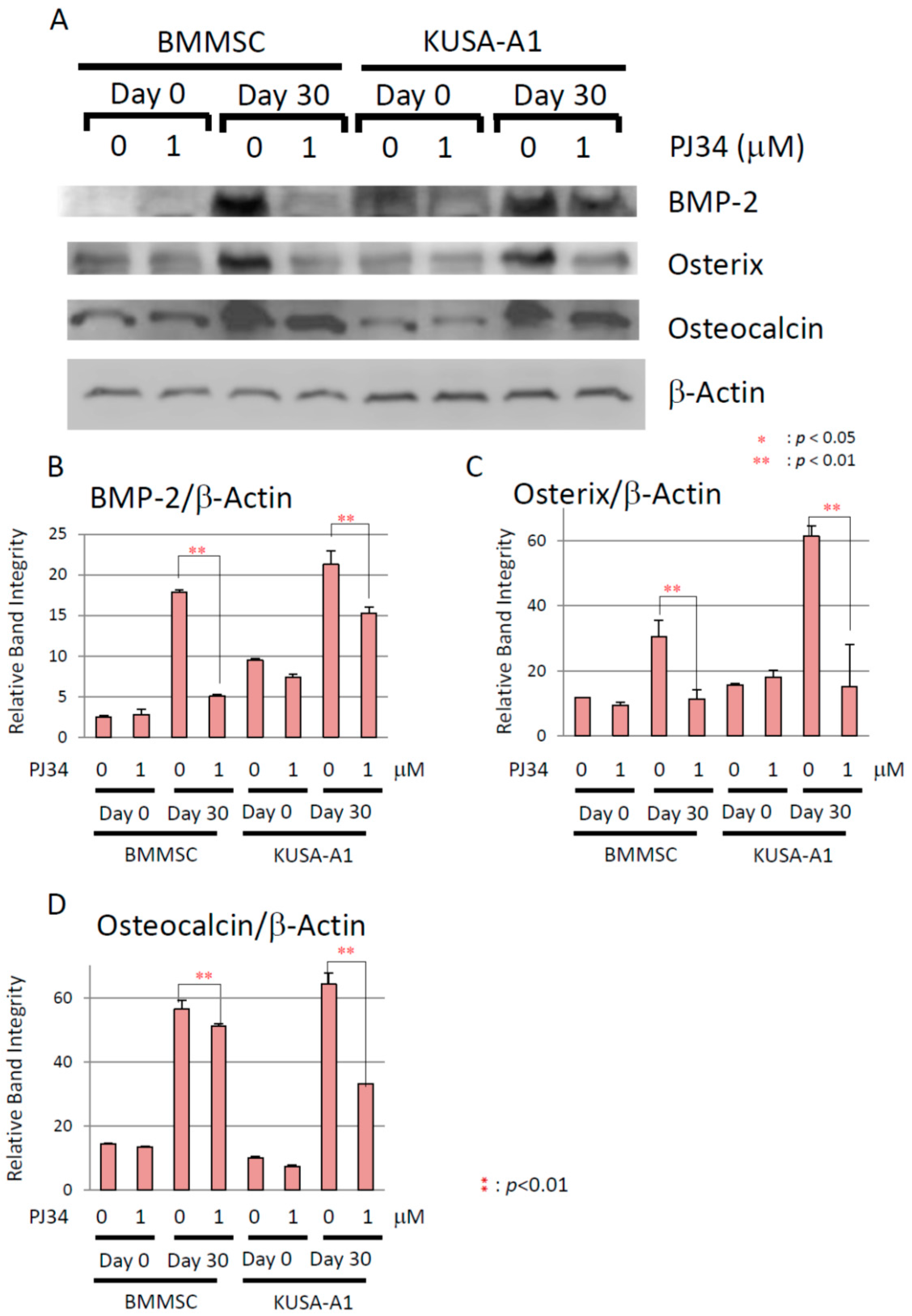 Ijms 16 24820 g009 1024