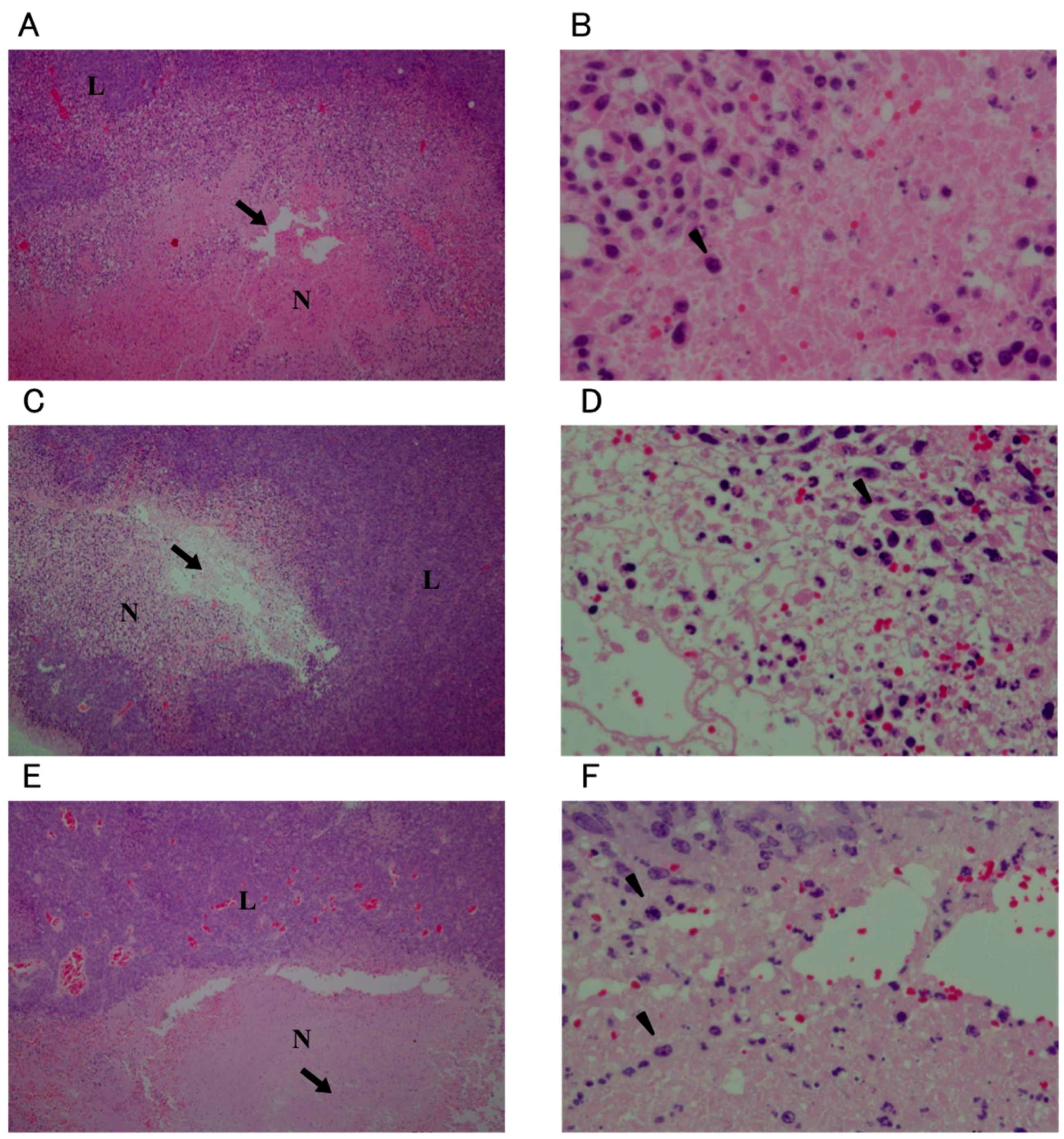 Ijms 16 25108 g003 1024