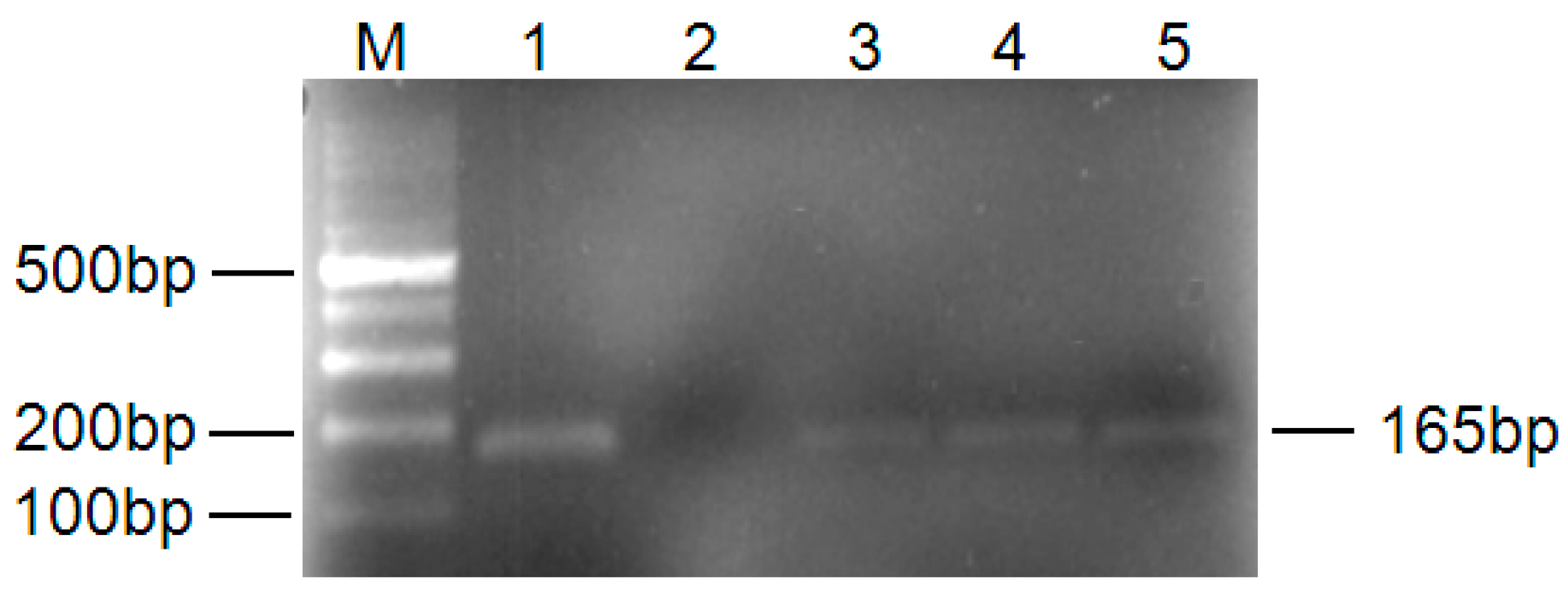 Ijms 16 25121 g001 1024