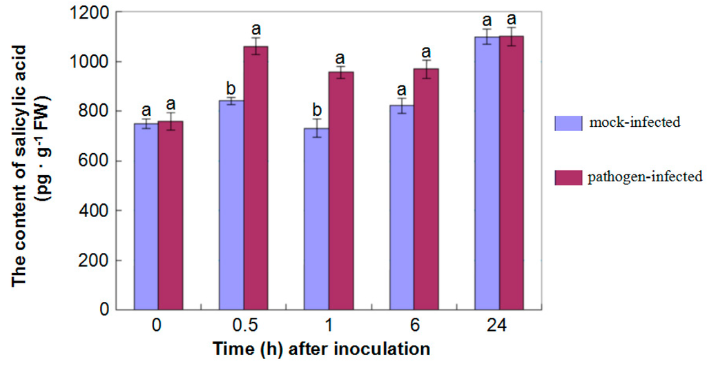 Comparative Proteomic Analysis of Gossypium thurberi in