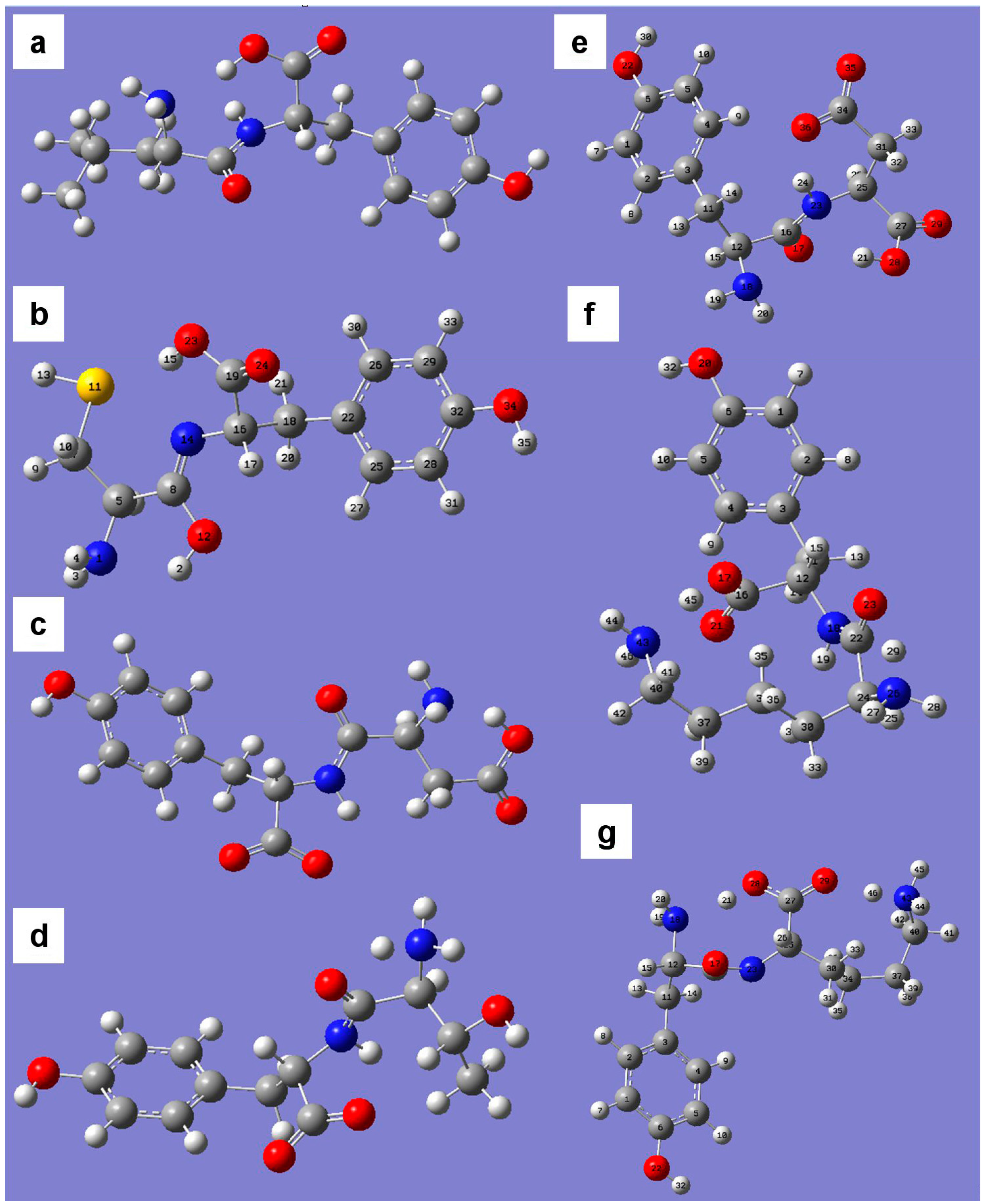 Ijms 16 25353 g007 1024