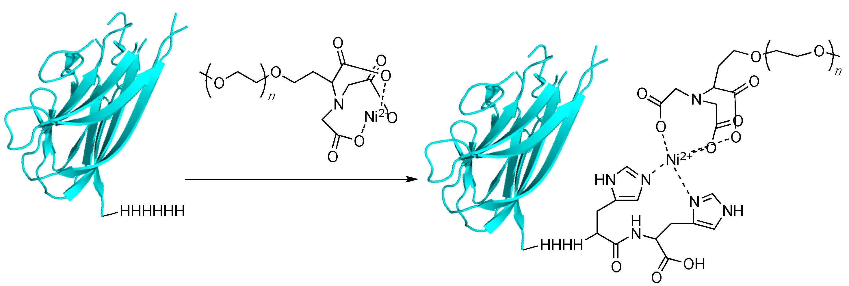 Ijms 16 25831 g004 1024