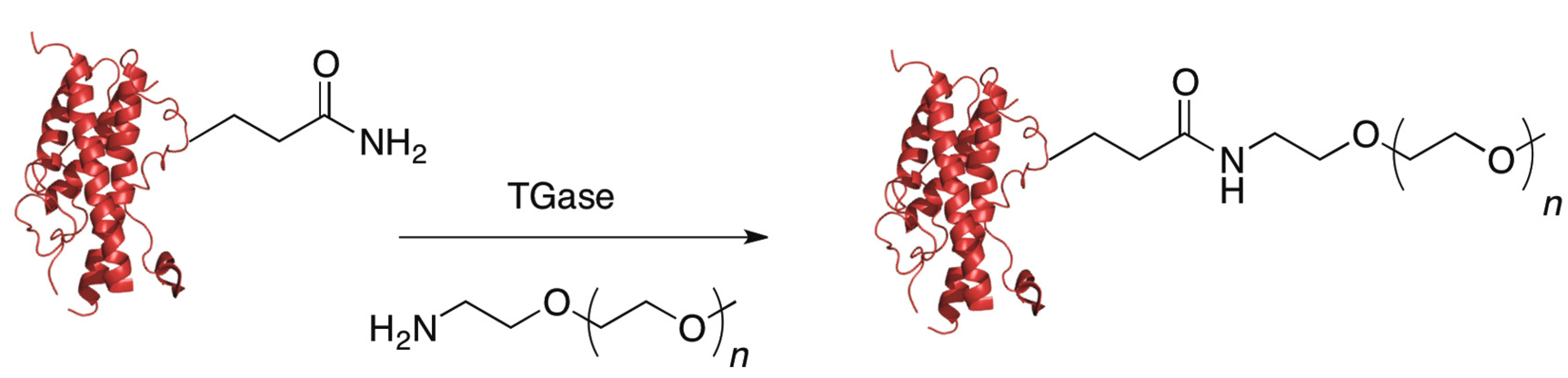 Ijms 16 25831 g008 1024