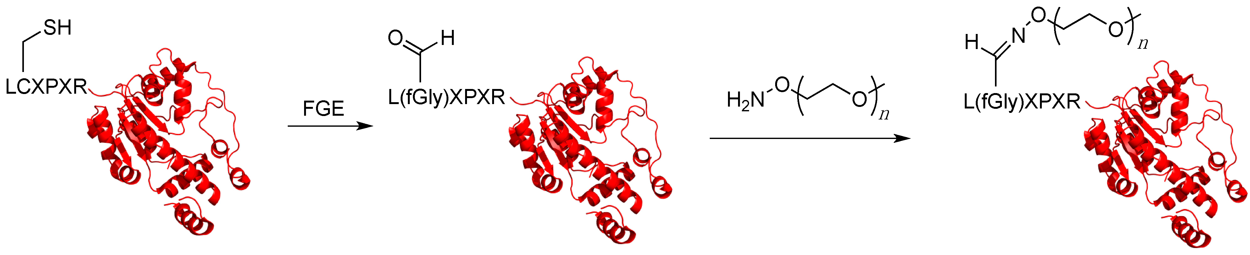 Ijms 16 25831 g009 1024