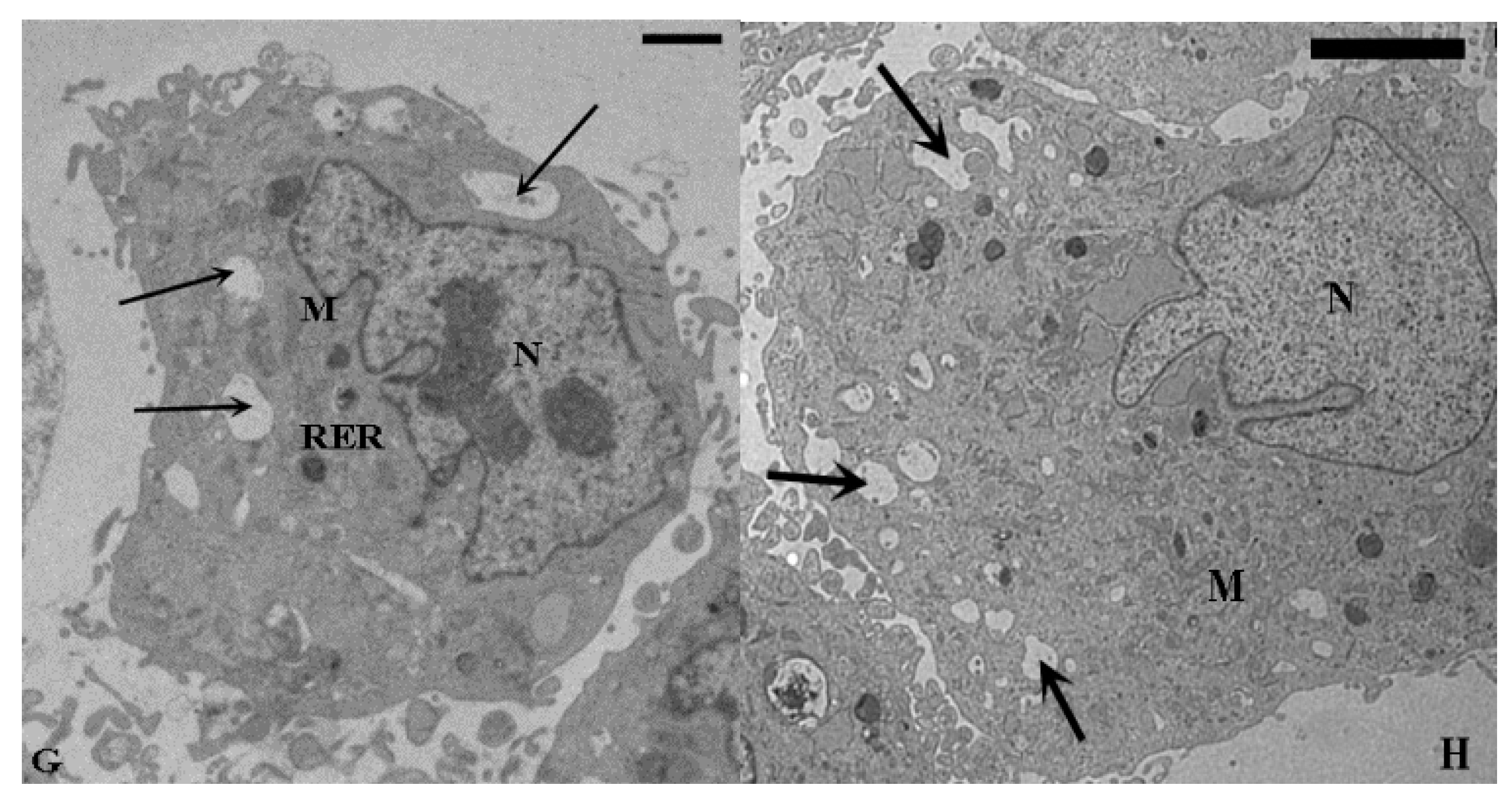 Ijms 16 25936 g001b 1024