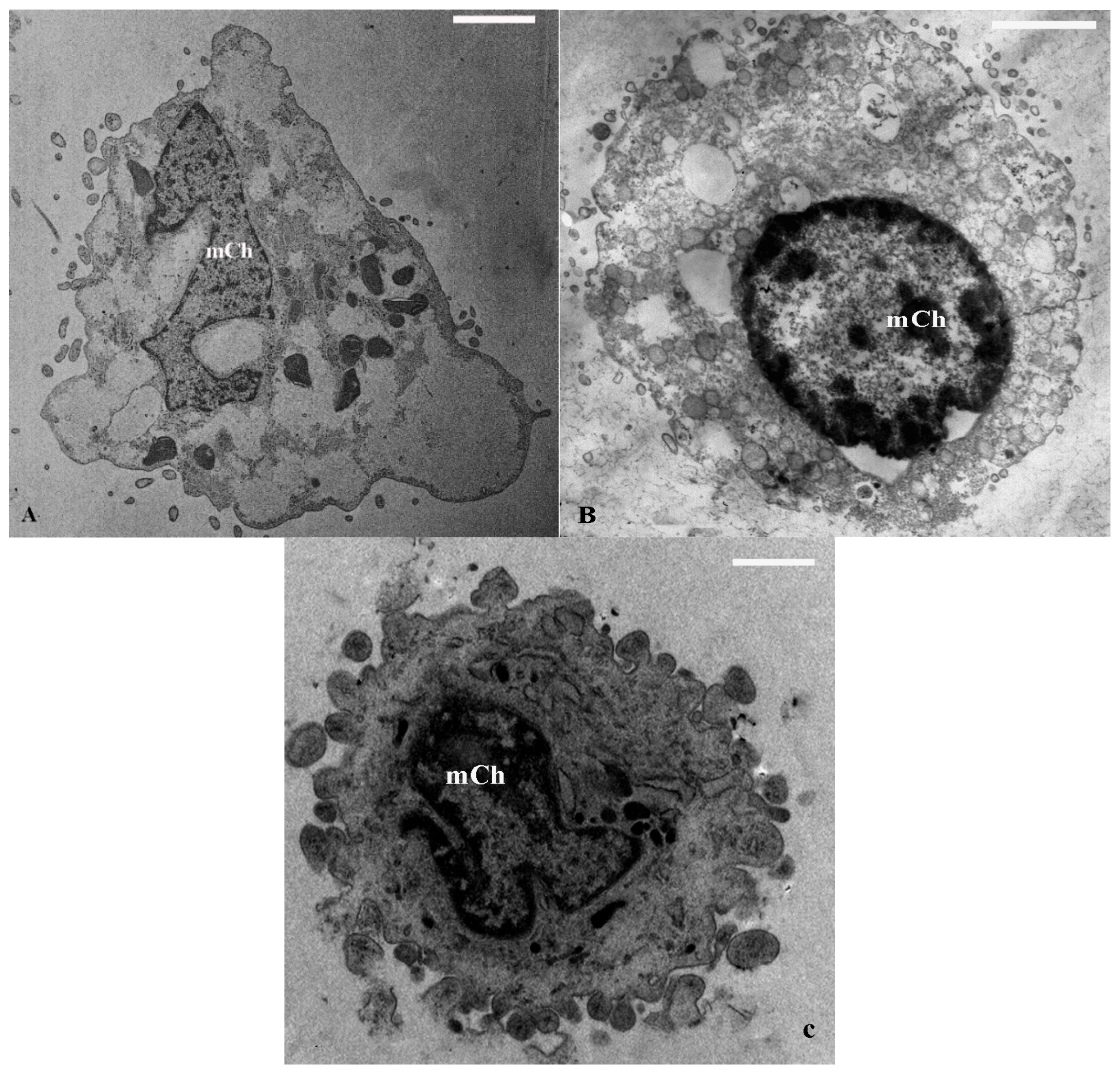 Ijms 16 25936 g002 1024