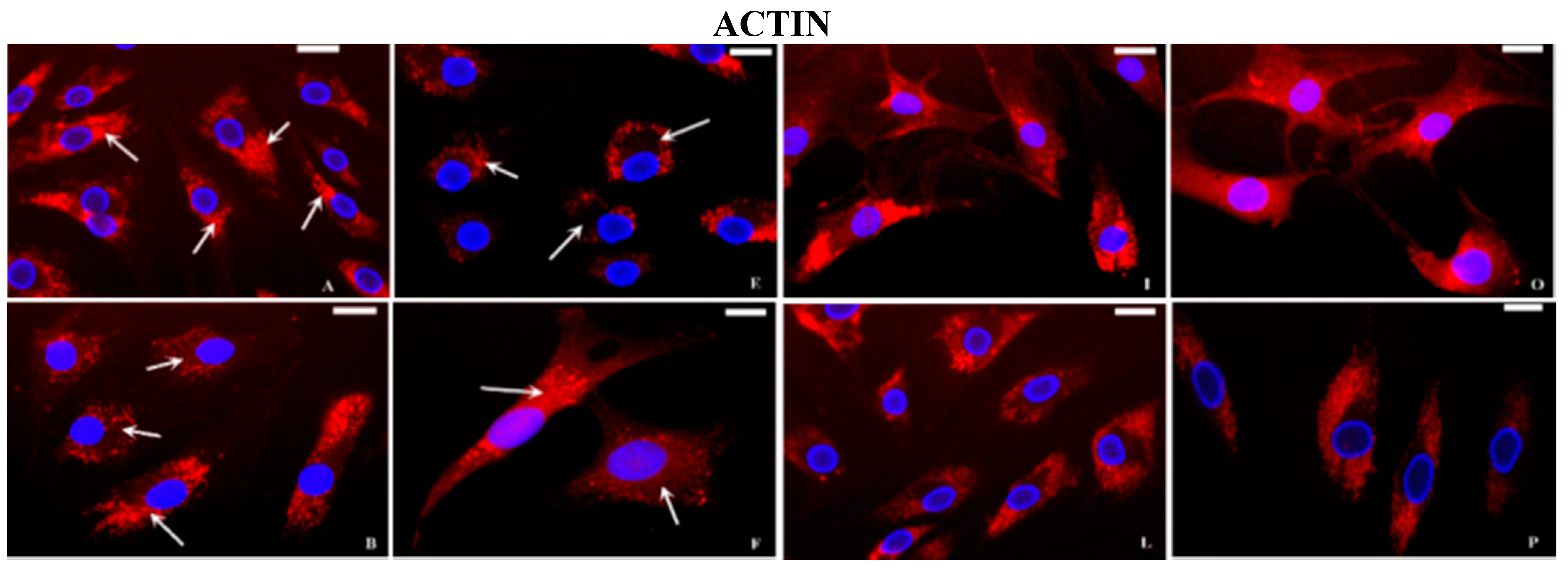 Ijms 16 25936 g004a 1024