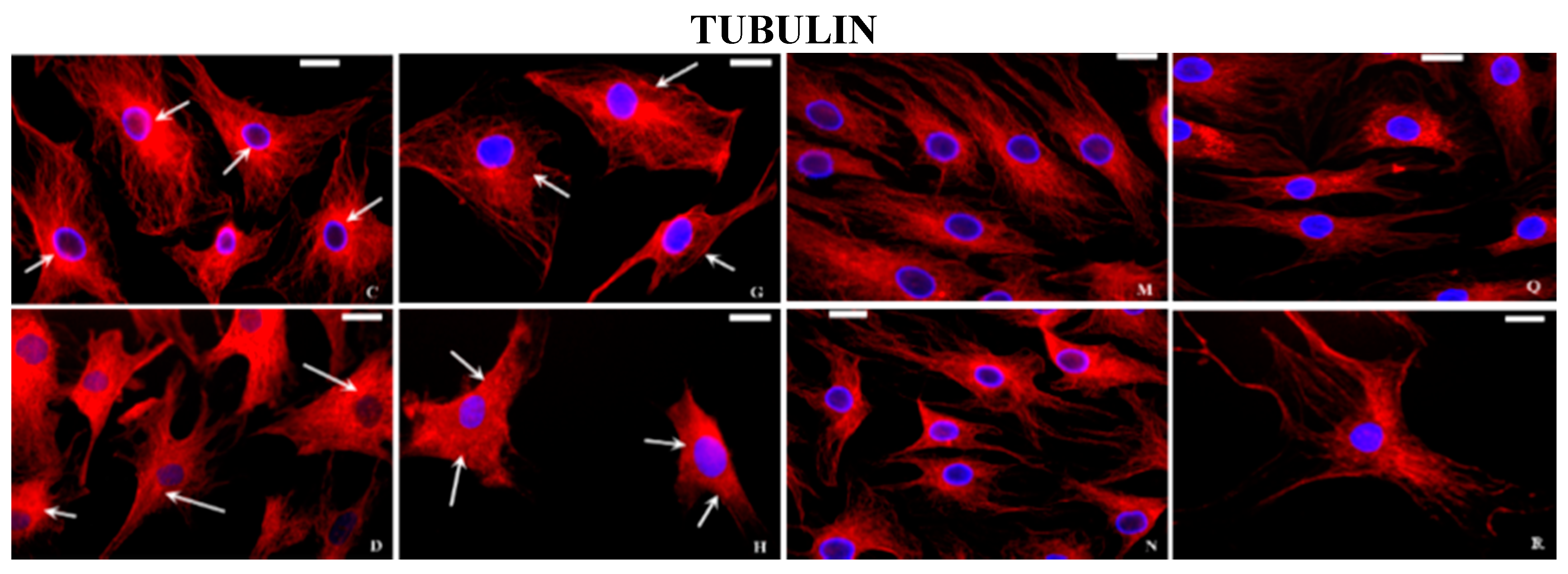 Ijms 16 25936 g004b 1024