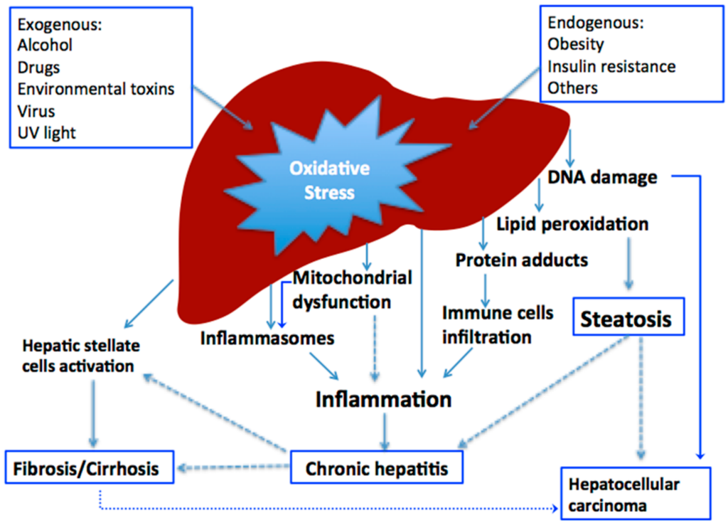 Antioxidants, Free Full-Text