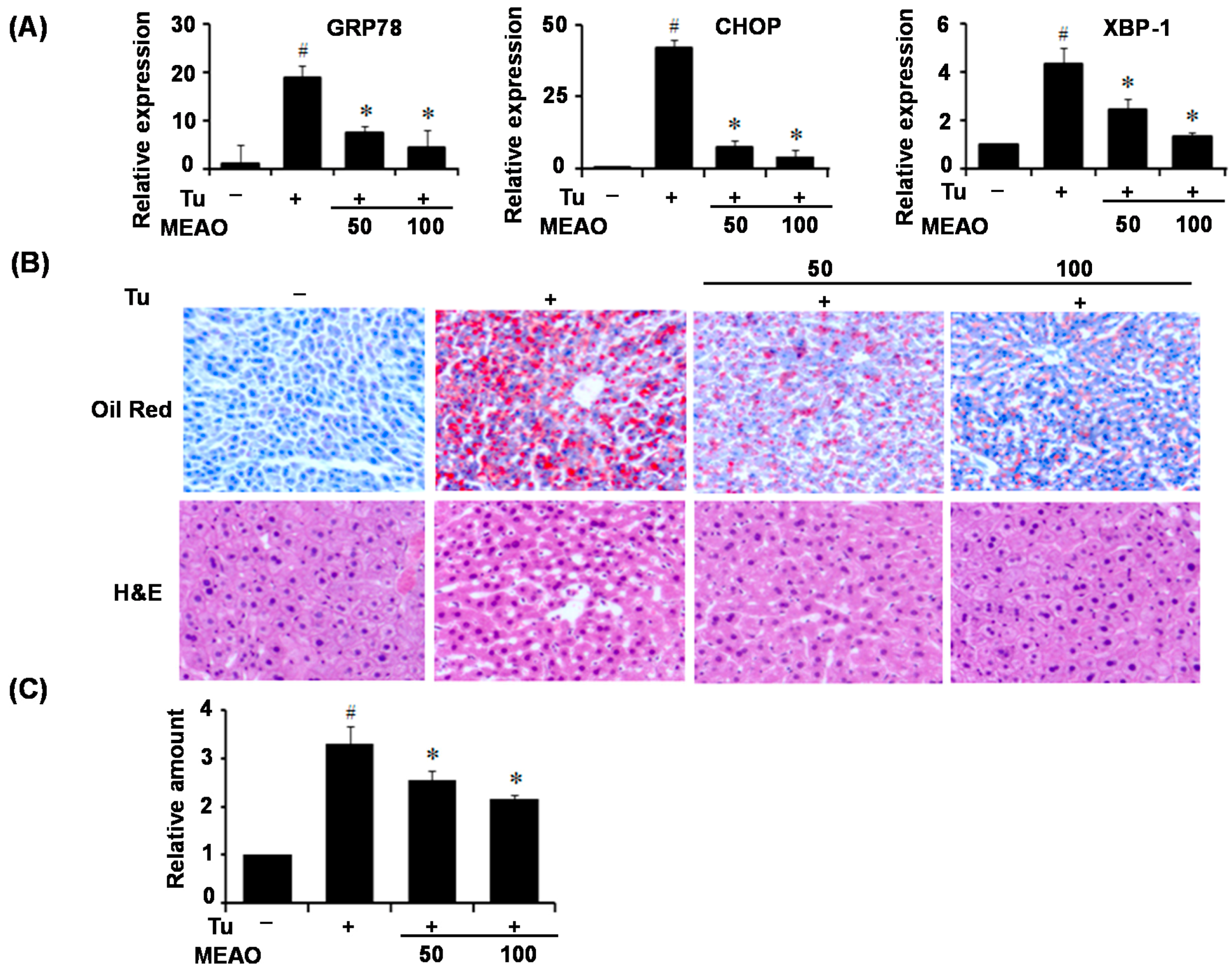 Ijms 16 25944 g002 1024