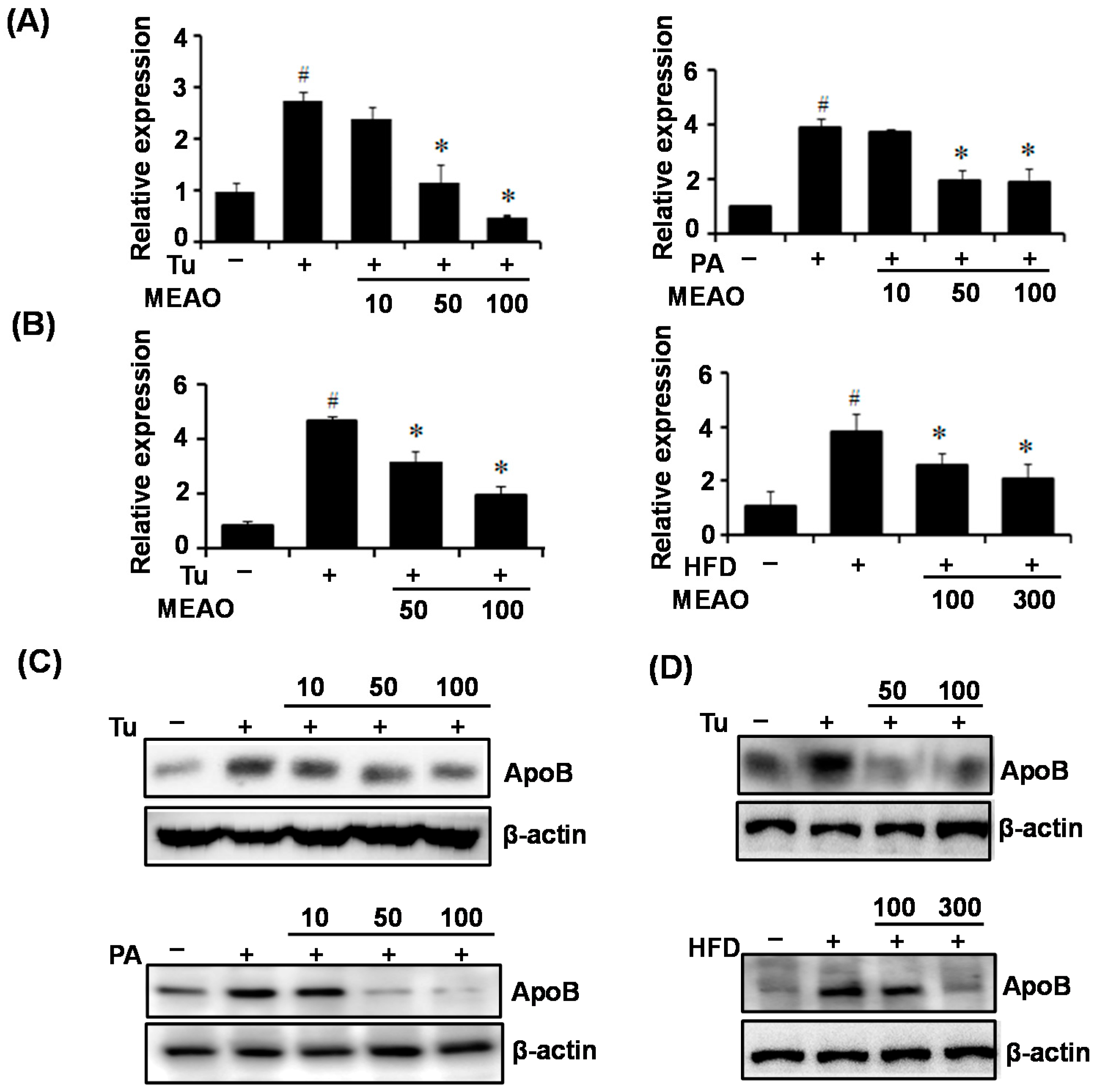 Ijms 16 25944 g006 1024