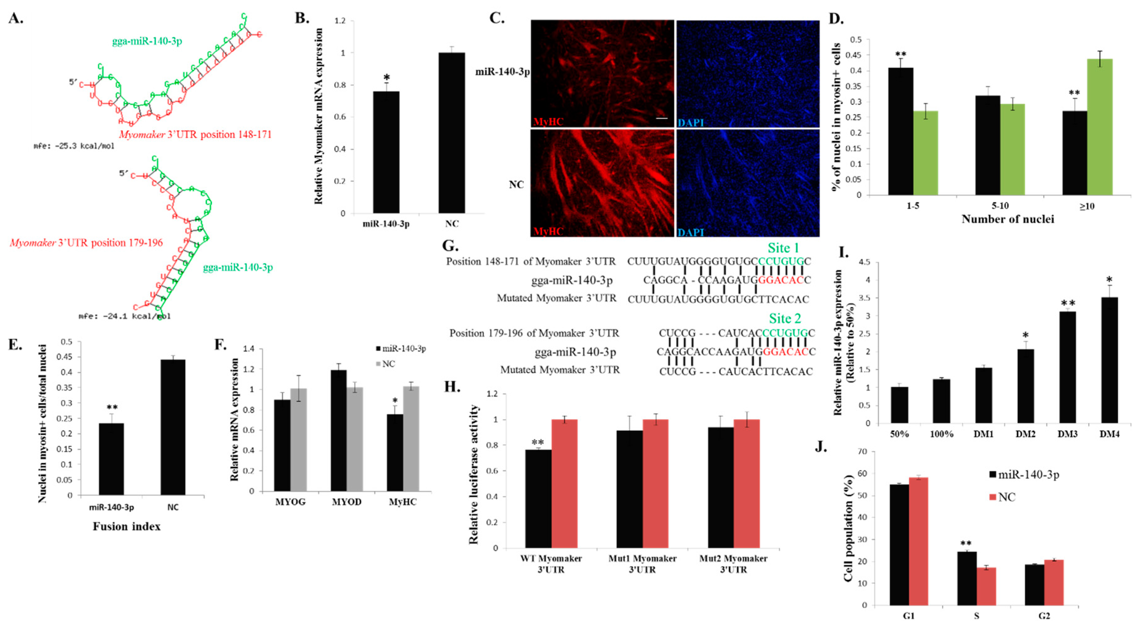 Ijms 16 25946 g006 1024