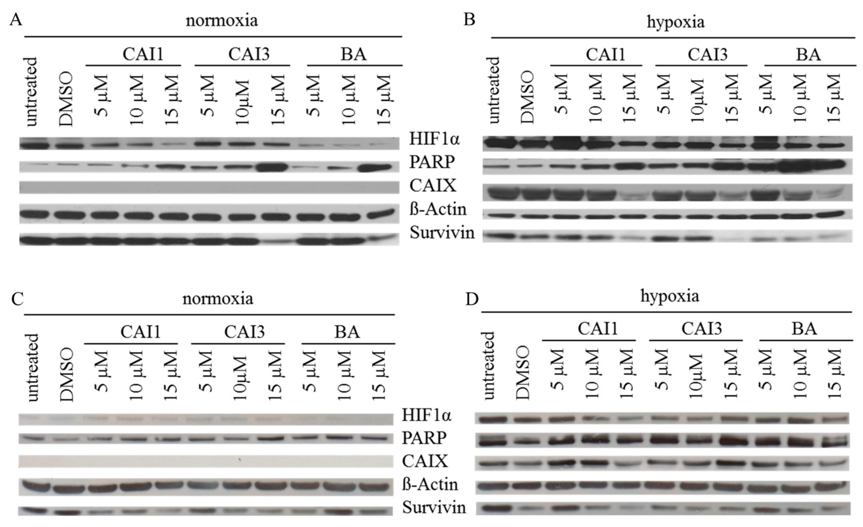 Ijms 16 25953 g005 1024