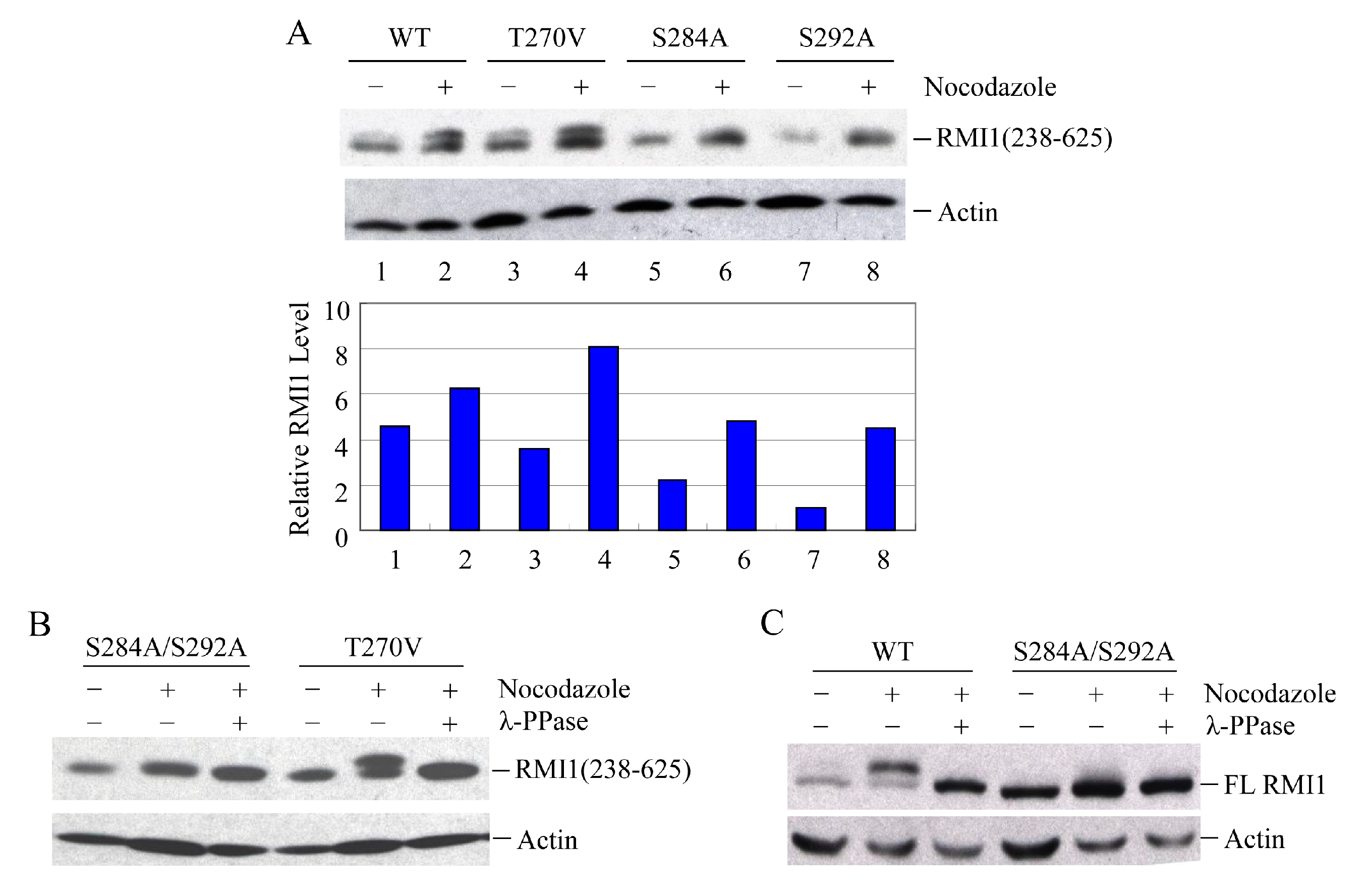 Ijms 16 25965 g004 1024