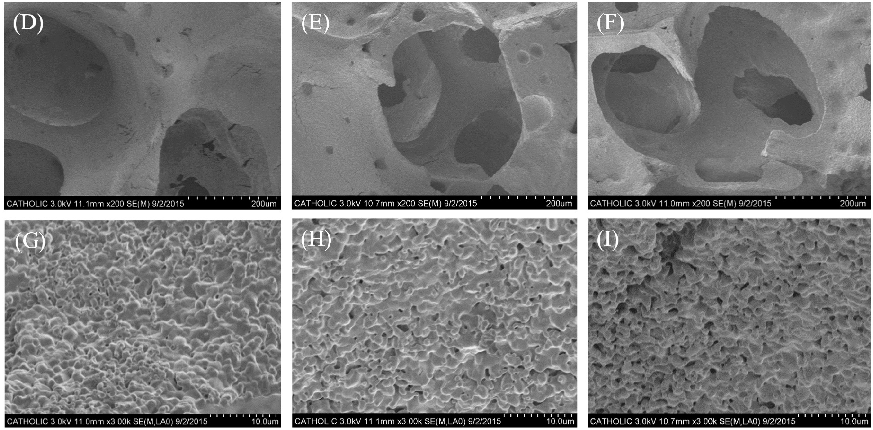 Ijms 16 25982 g001b 1024