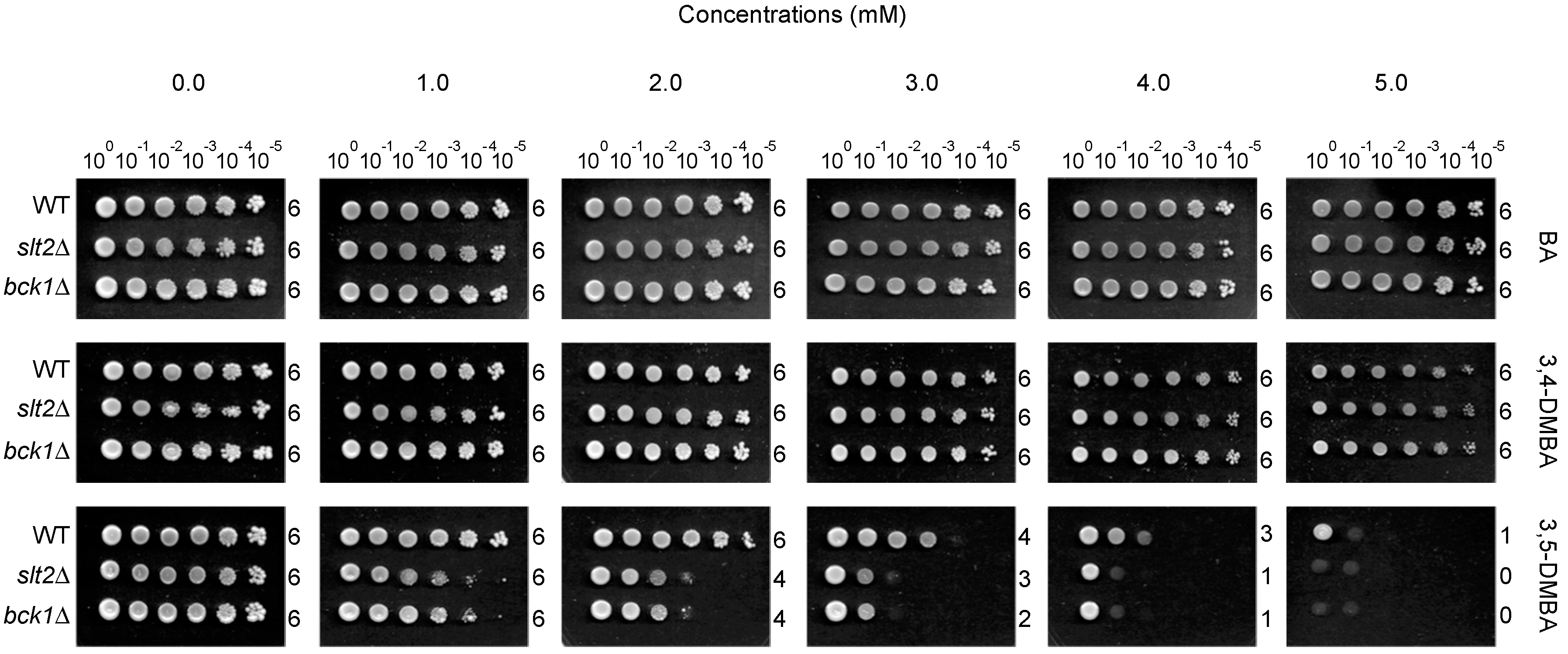 Ijms 16 25988 g002 1024
